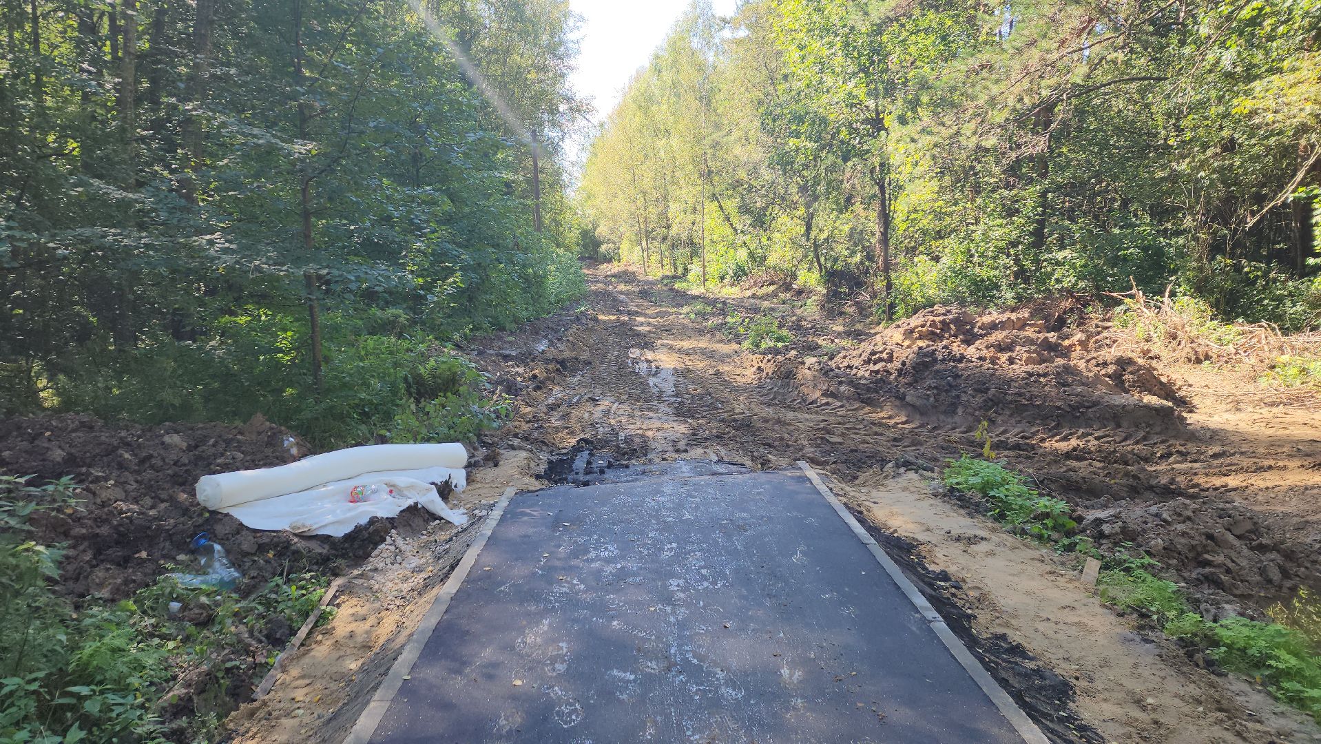 софрино, вертикалки, народная тропа, пешком в подмосковье, благоустройство, асфальтовая крошка, асфальтовое покрытие, тротуар, дорожка, деревня, станция,