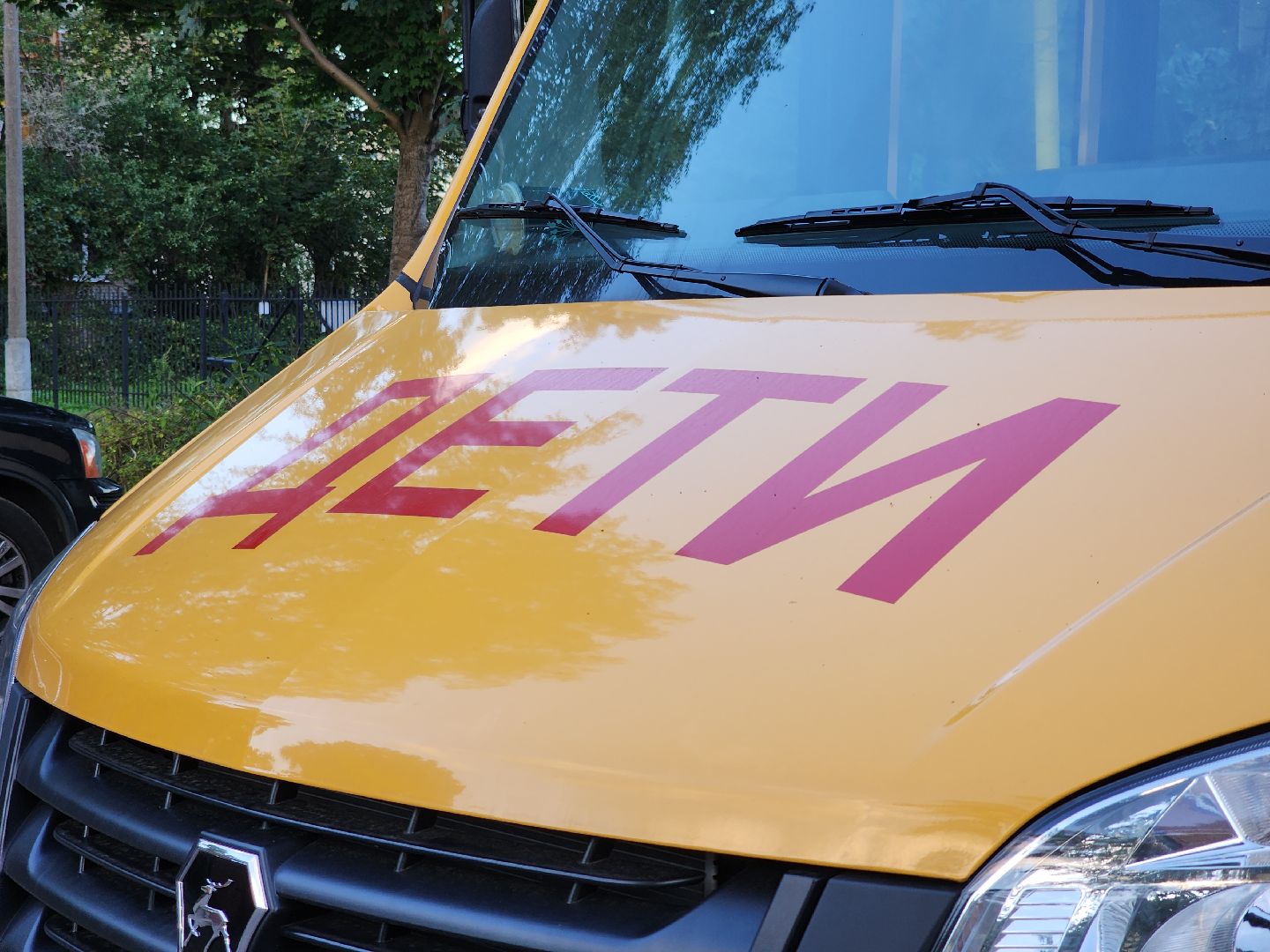 Черноголовка, Школьный автобус, Образование,