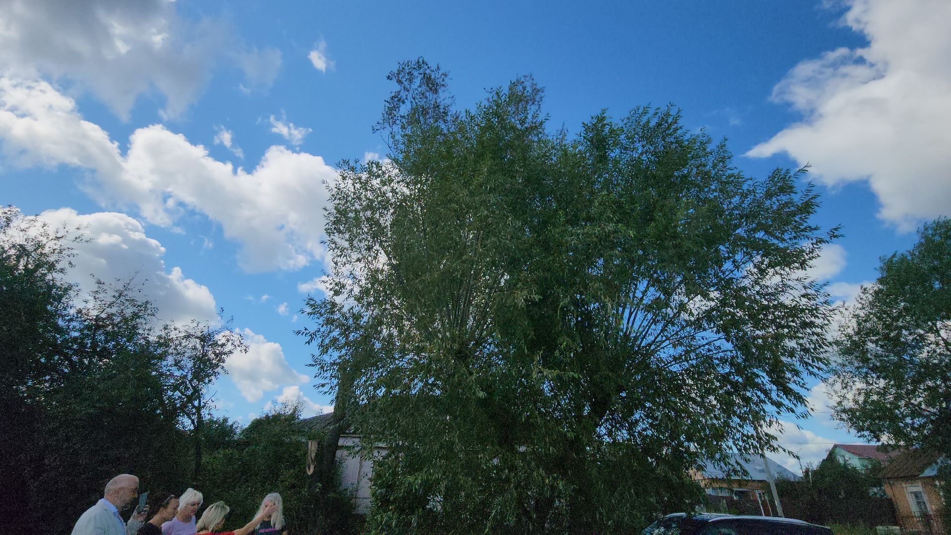 серпухов, улица малая катанинная, благоустройство в серпухове, выездная администрация,