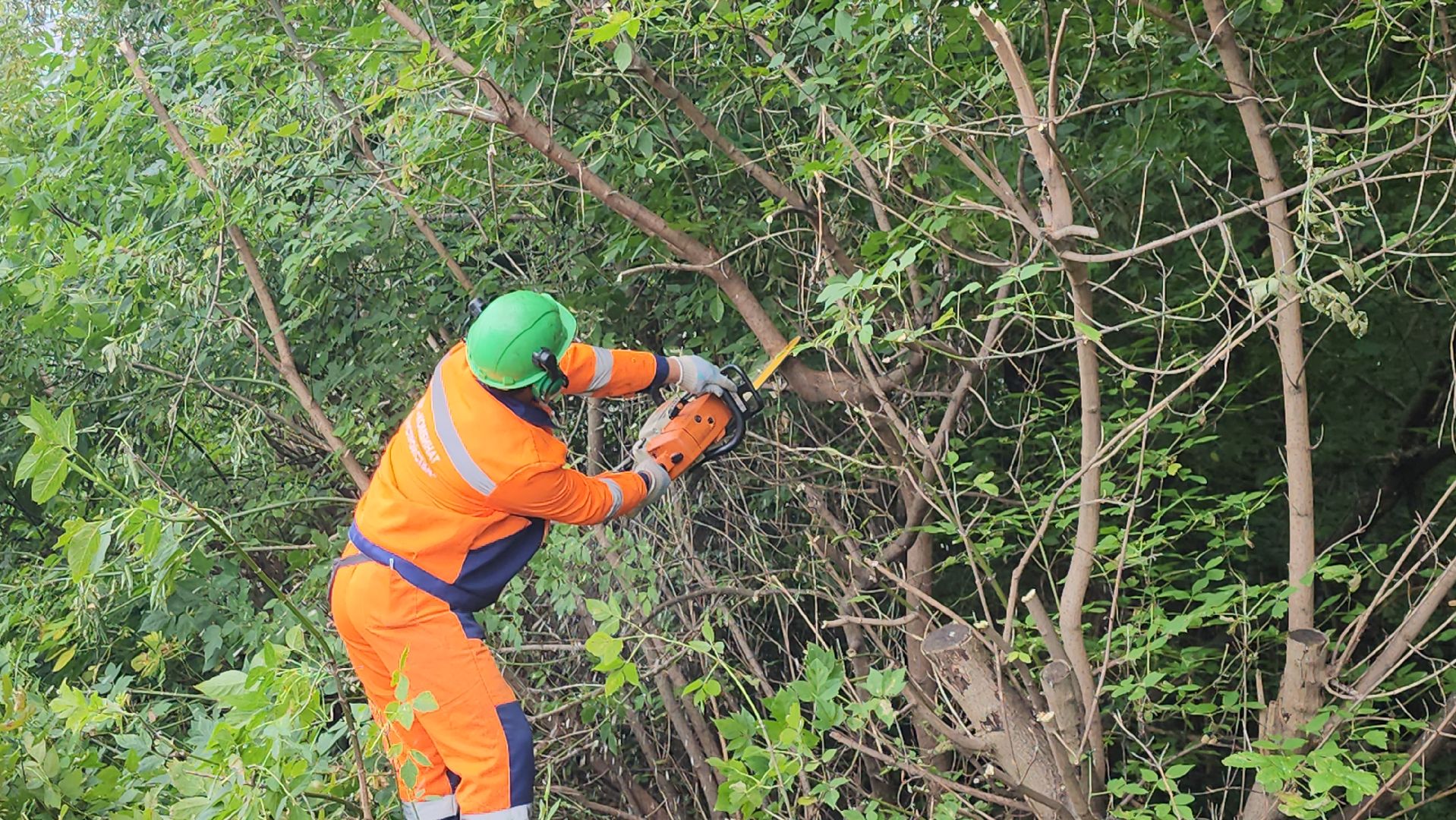 серпухов, подмосковье, благоустройство,