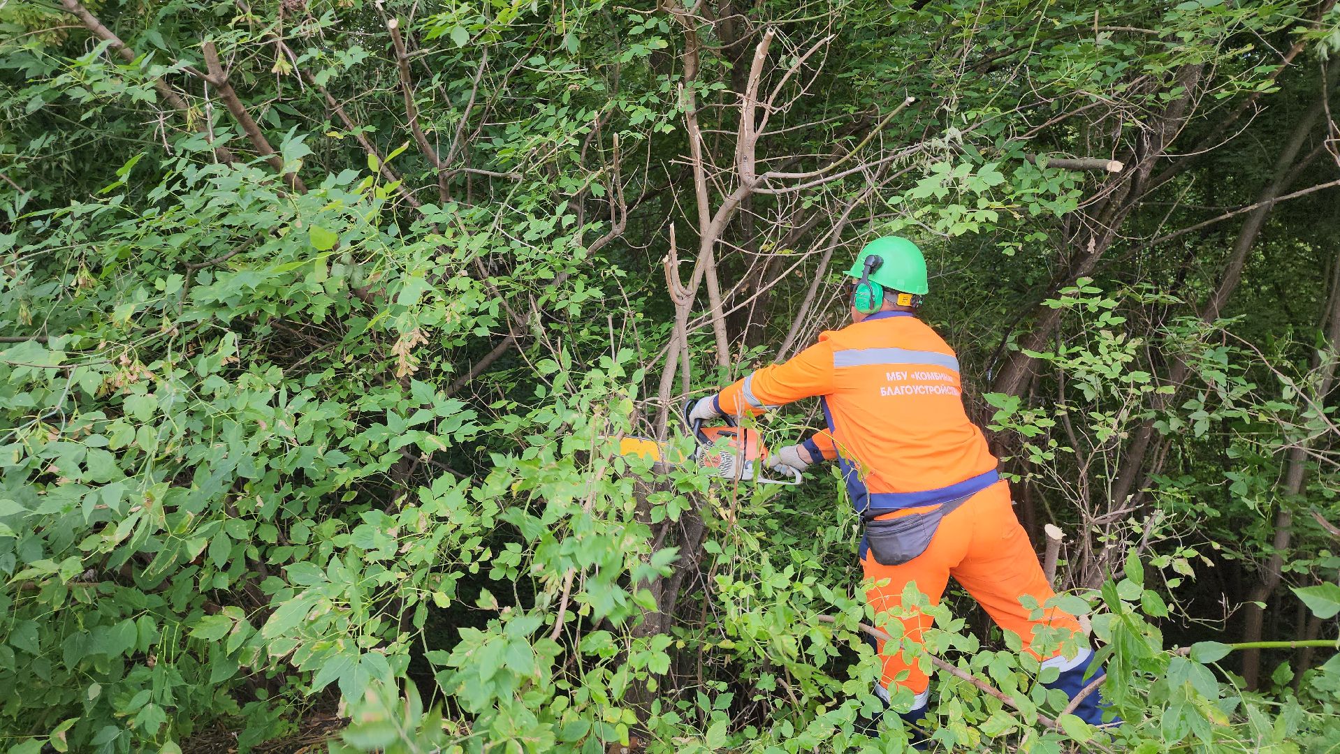 серпухов, подмосковье, благоустройство,
