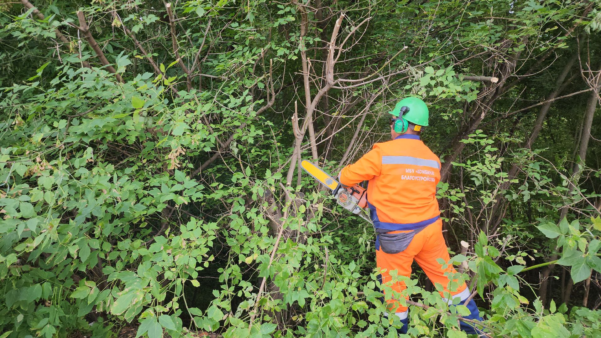 серпухов, подмосковье, благоустройство,