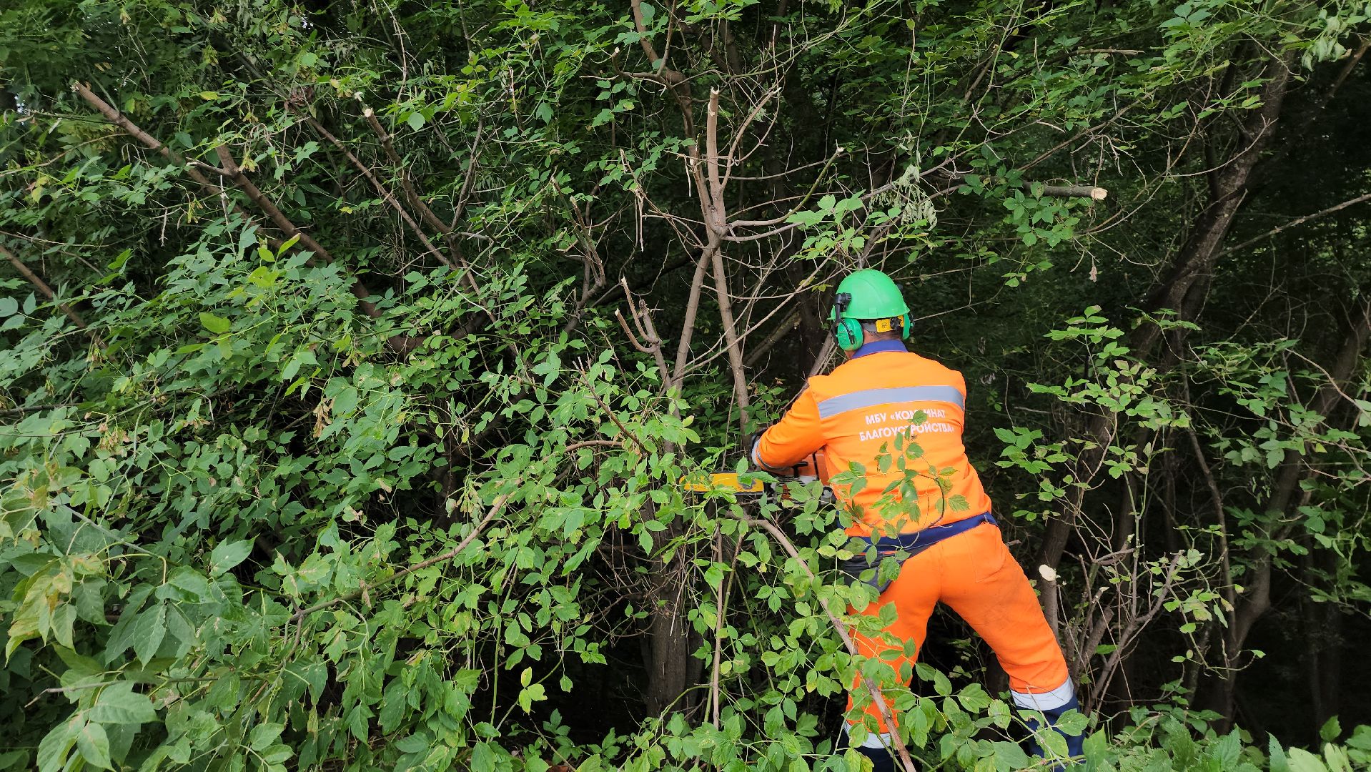 серпухов, подмосковье, благоустройство,