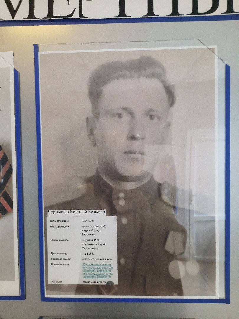 Бессмертий полк, Шатура, Скорая медицинская помощь