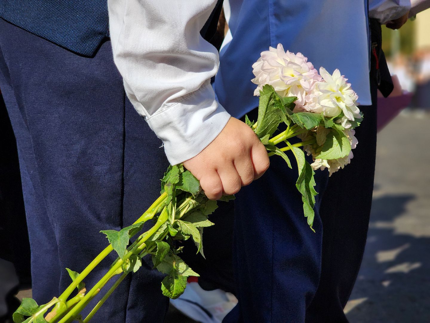 день знаний, 1 сентября, начало учебного года, поселок зеленый, богородский городской округ,