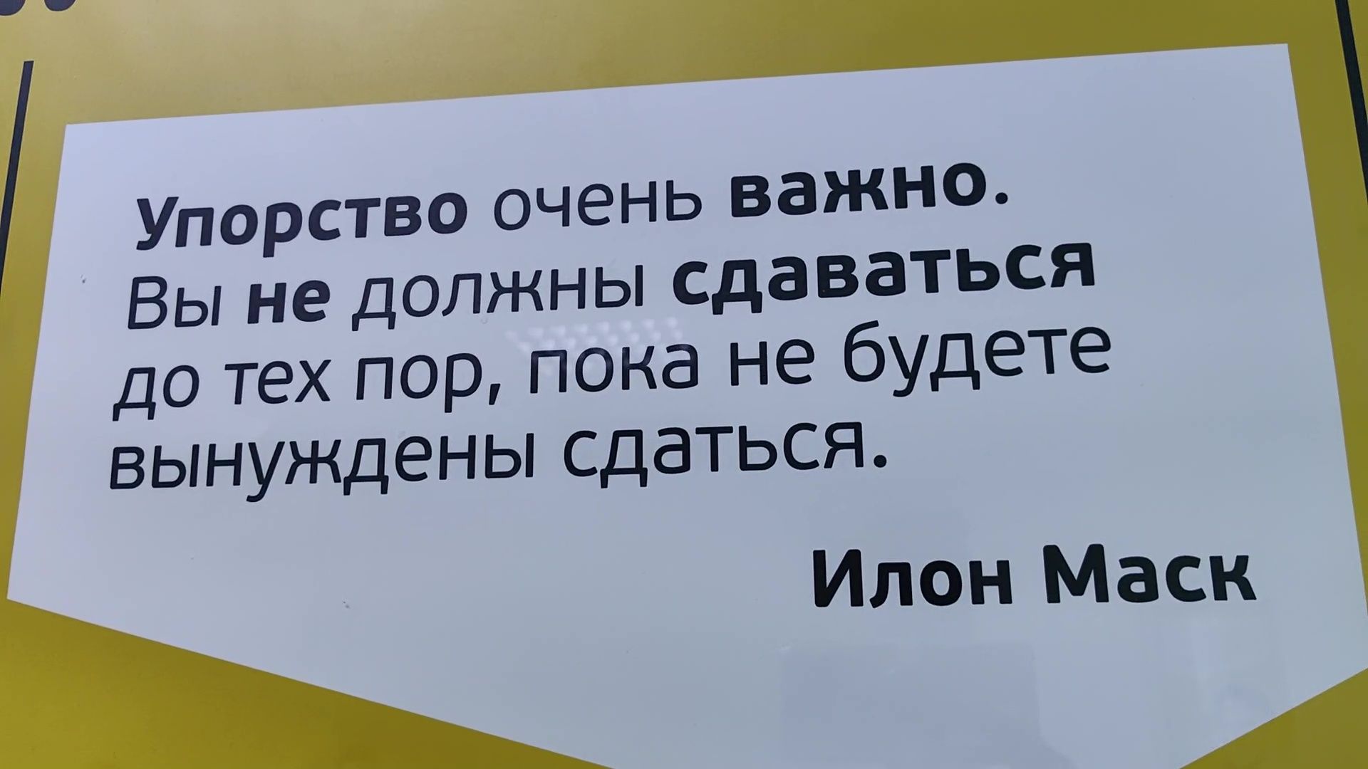 Реутов,медицина, игры, дети врачей,