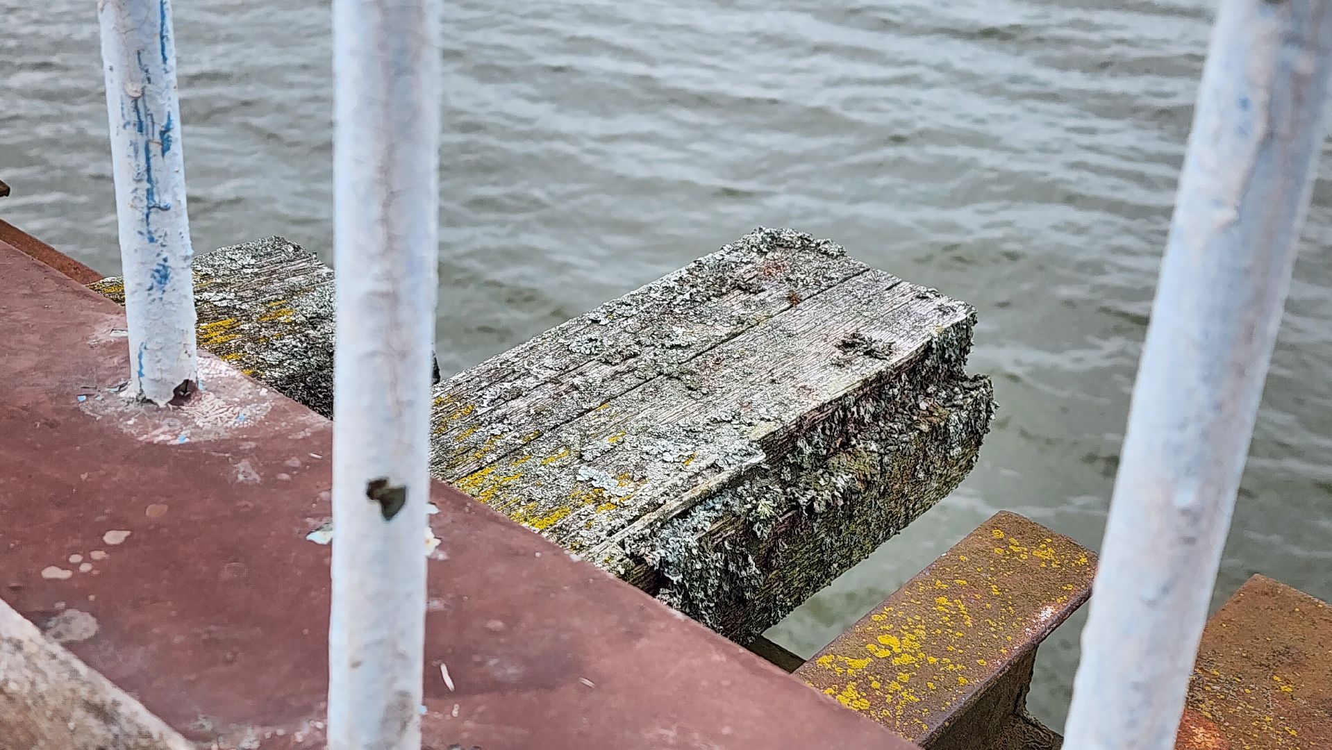 солнечногорск, микрорайон тимоново, городок сенеж, тимоновский мост,