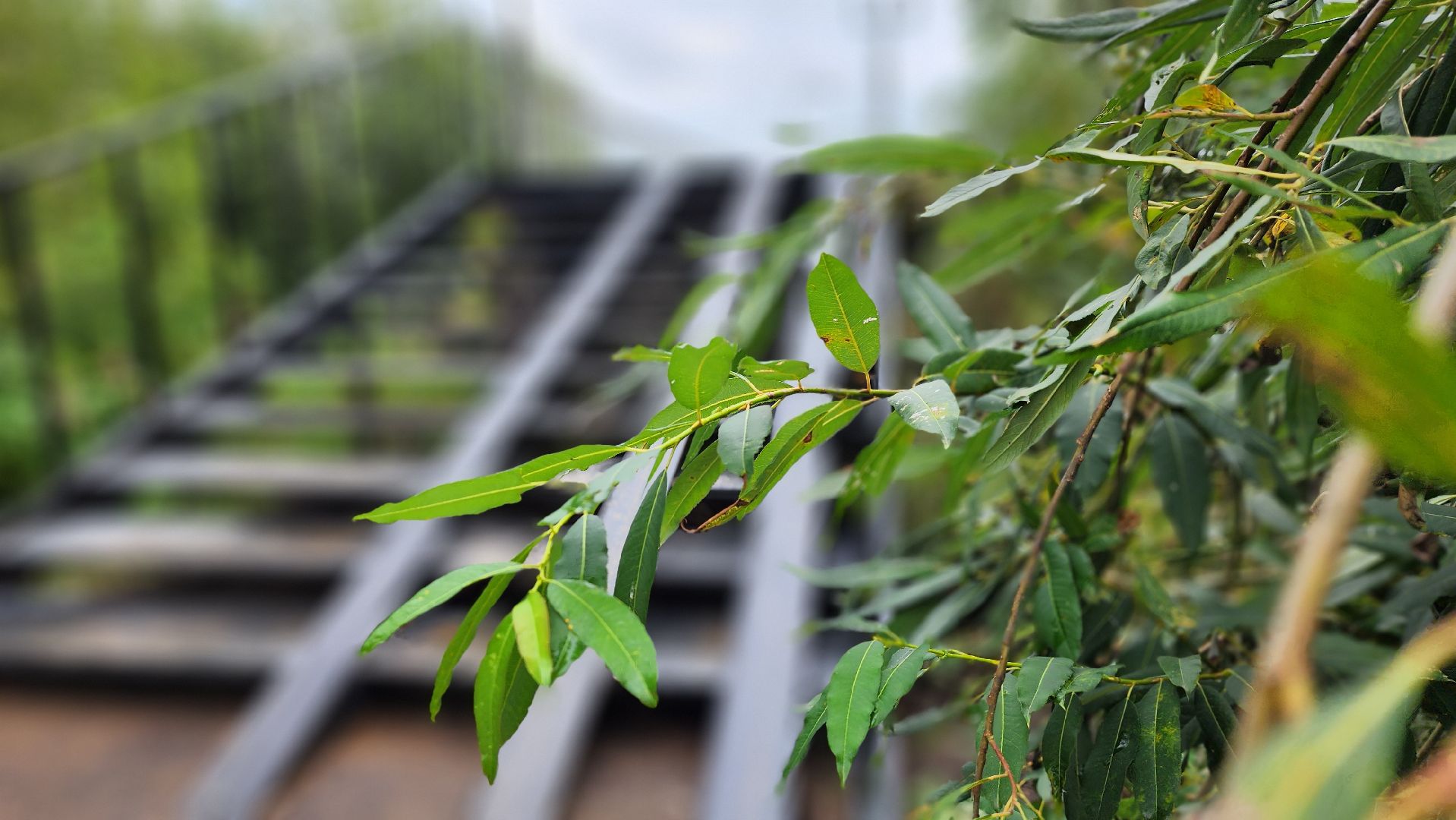солнечногорск, микрорайон тимоново, городок сенеж, тимоновский мост,