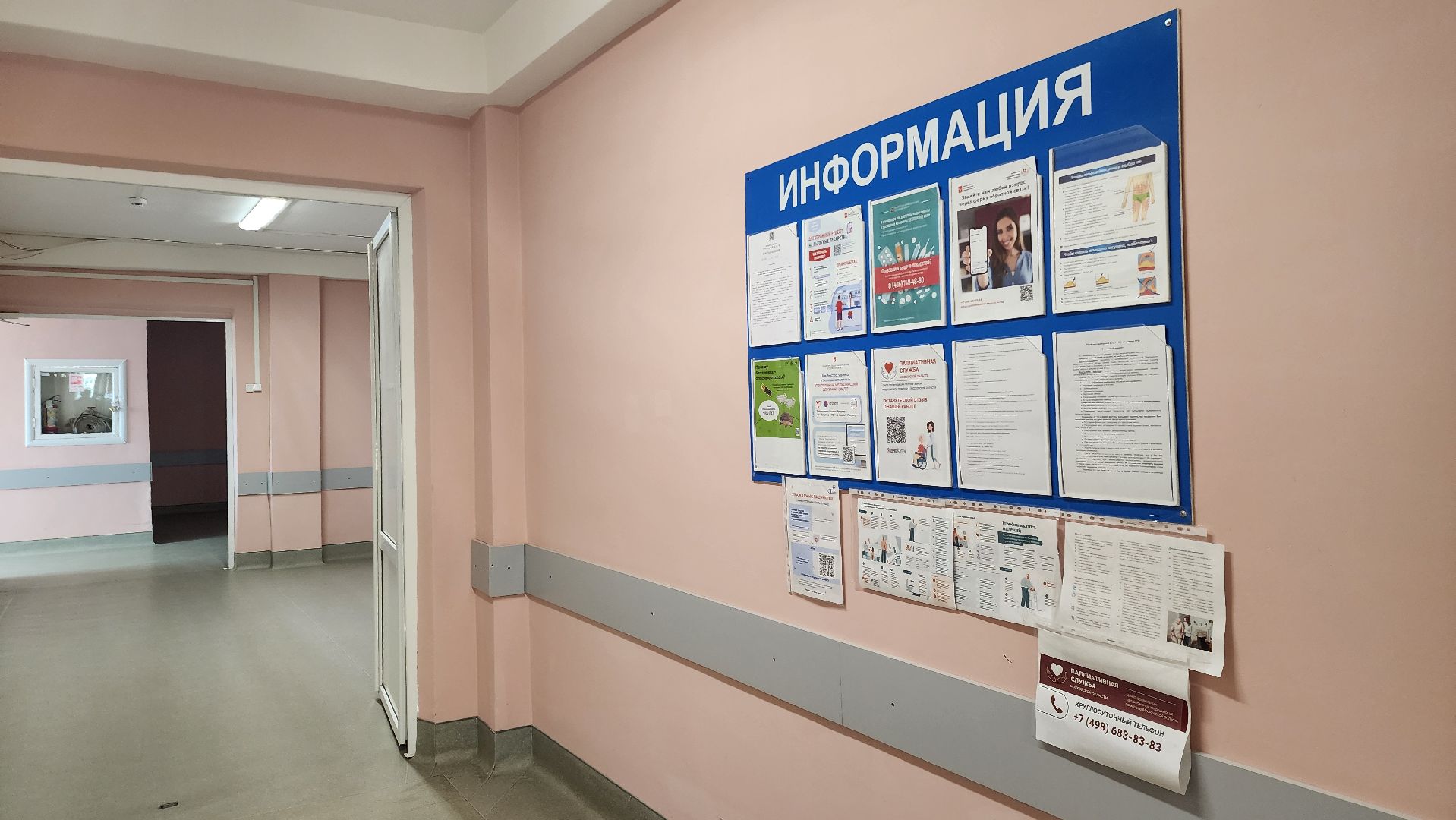 Зарайск, здравоохранение, Медицина, Новый врач-эпидемиолог в Зарайске,