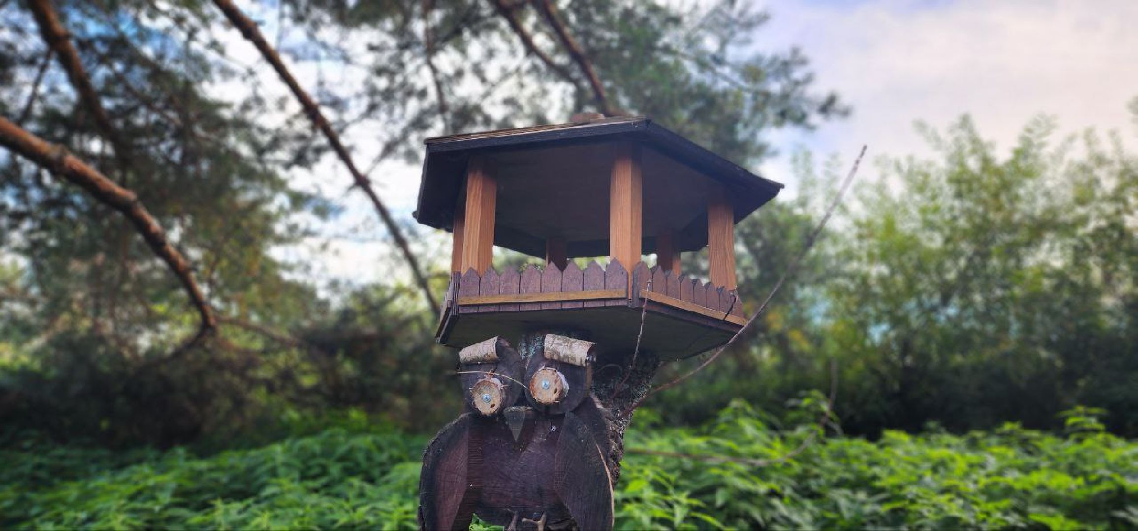 Дмитров, Выездная администрация, Деревня Михайловское, ЖКХ, Благоустройство,