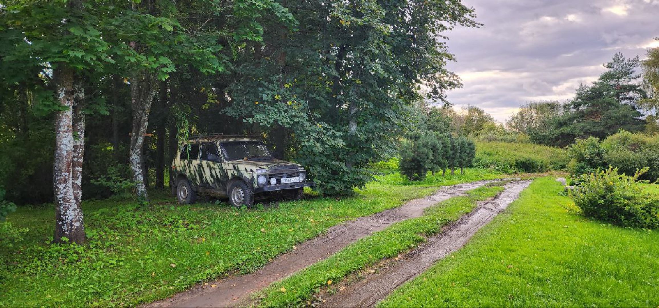 Дмитров, Выездная администрация, Деревня Михайловское, ЖКХ, Благоустройство,