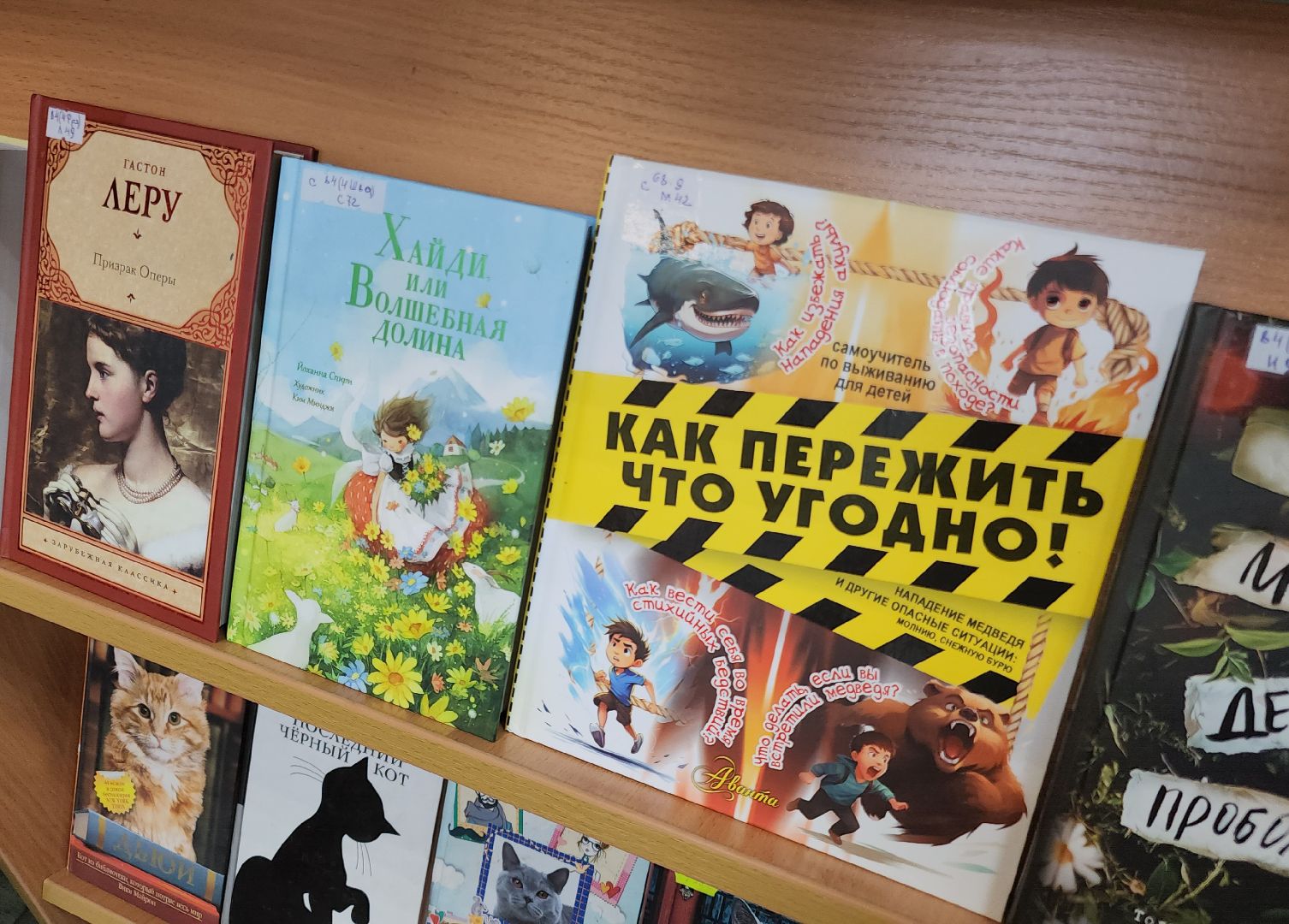 новые книги,  ликино-дулево, орехово-зуевский округ, детская библиотека,