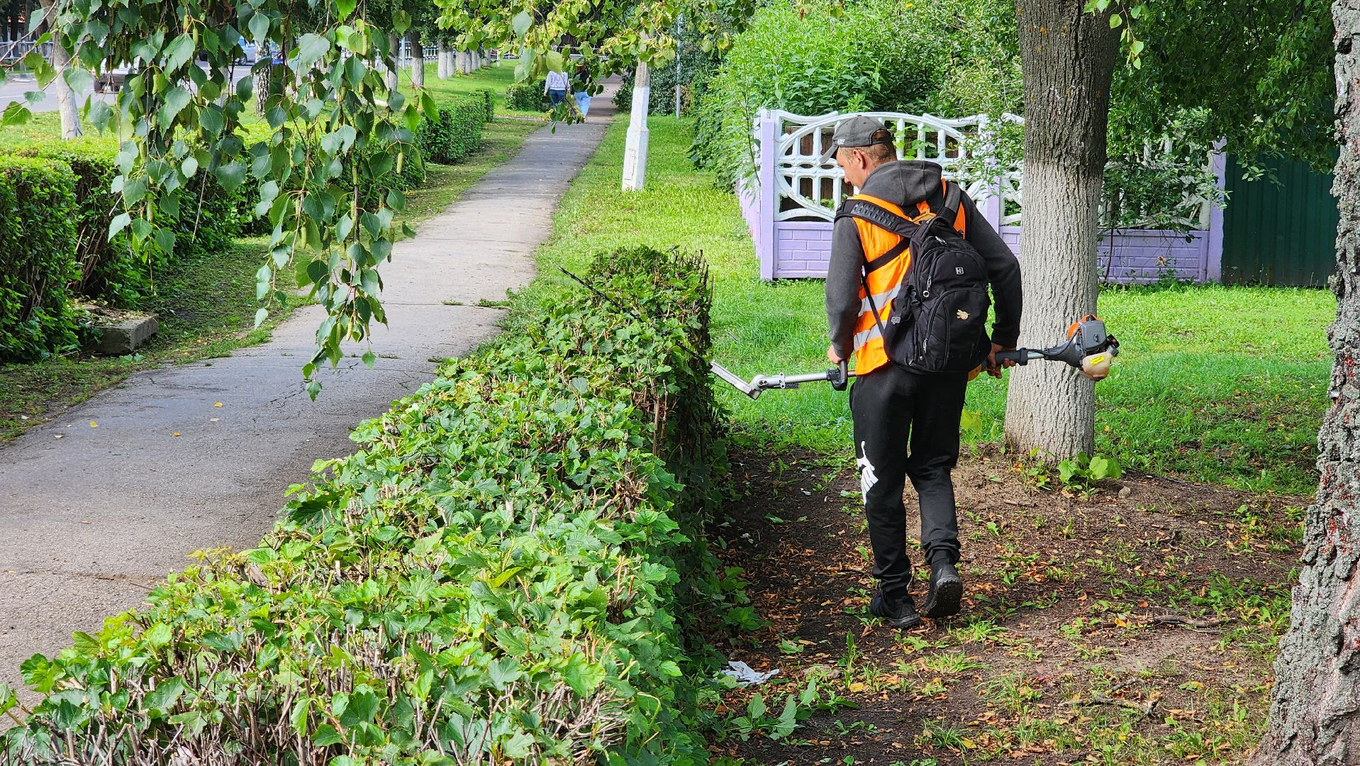 Серебряные пруды, Благоустройство,