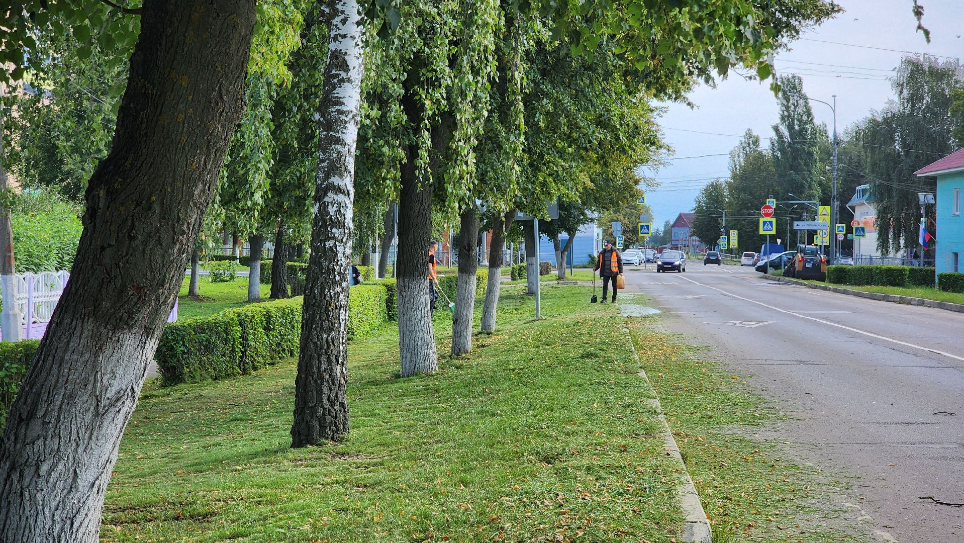 Серебряные пруды, Благоустройство,