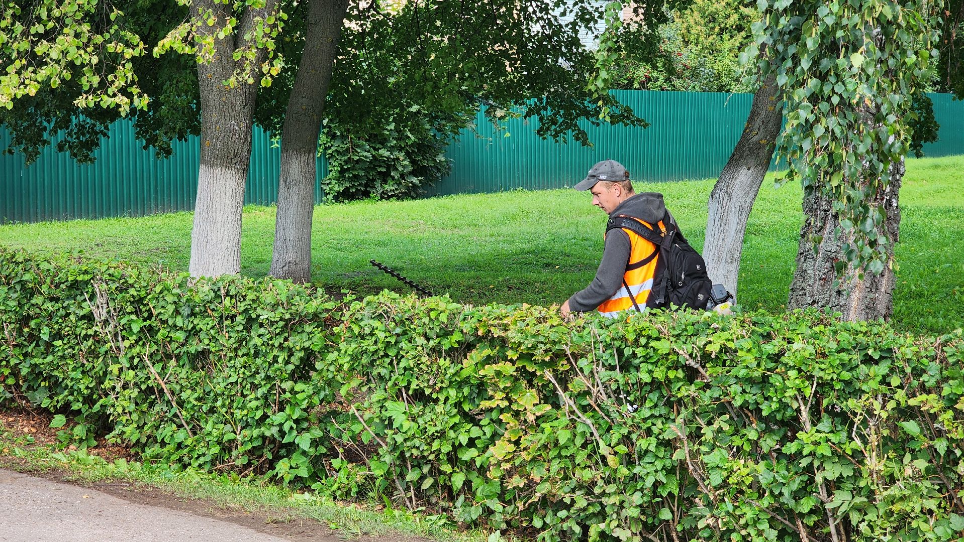 Серебряные пруды, Благоустройство,