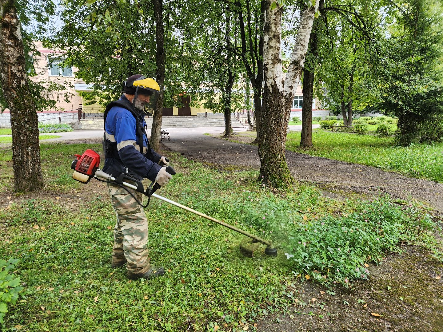 чехов, улица мира 7а, гимназия 7, подготовка к новому учебному году, текущий ремонт спортзала, обновление системы отопления, новые радиаторы отопления, благоустройство двора, покос травы, уборка мусора, покраска стен и потолка, директор гимназии елена рубцова,