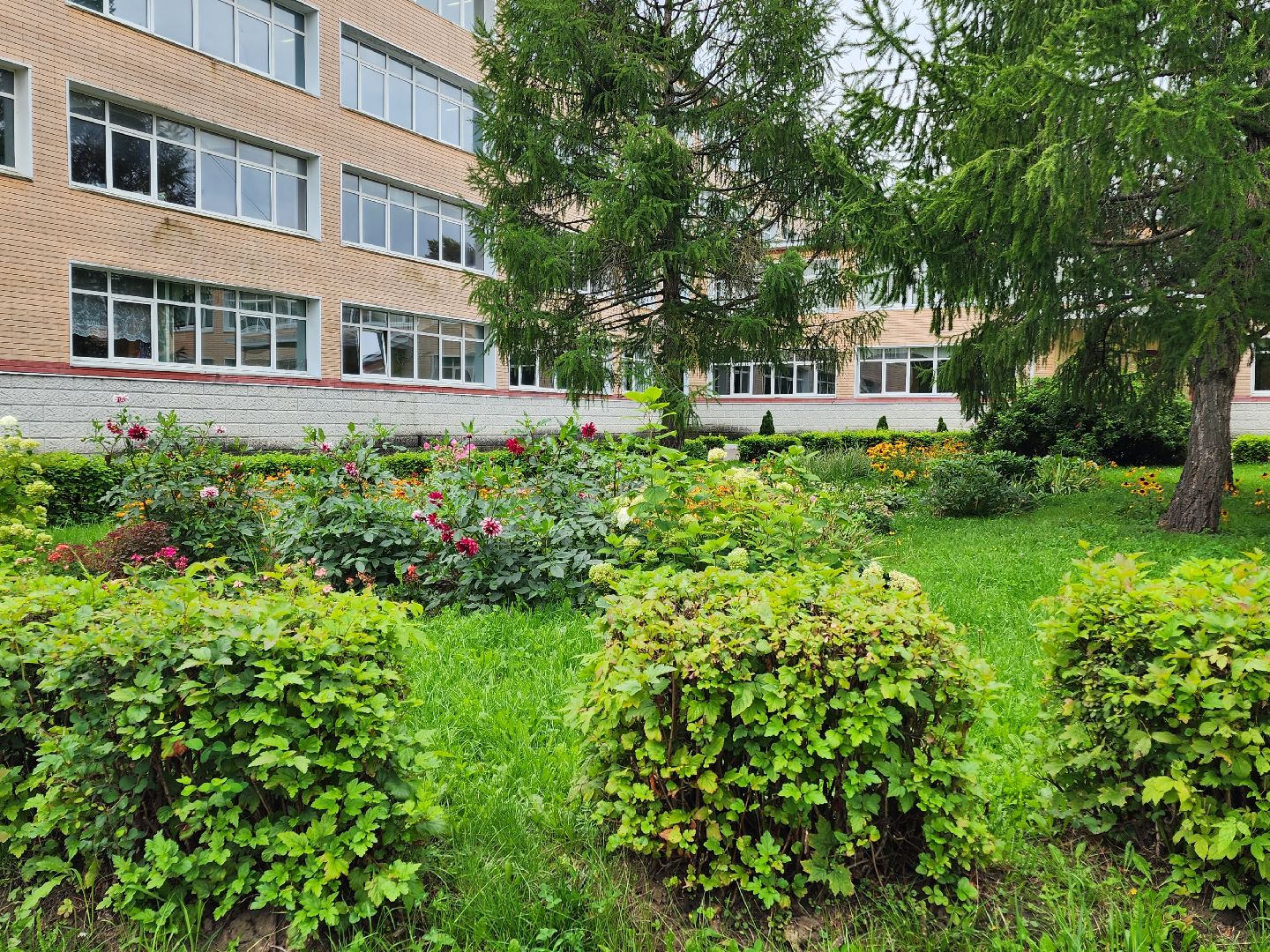 чехов, улица мира 7а, гимназия 7, подготовка к новому учебному году, текущий ремонт спортзала, обновление системы отопления, новые радиаторы отопления, благоустройство двора, покос травы, уборка мусора, покраска стен и потолка, директор гимназии елена рубцова,