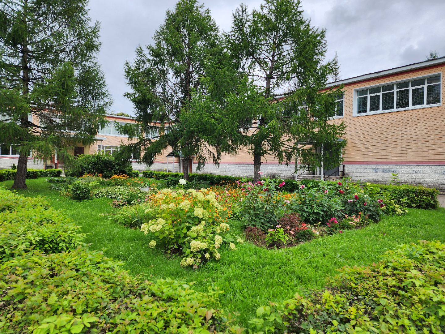 чехов, улица мира 7а, гимназия 7, подготовка к новому учебному году, текущий ремонт спортзала, обновление системы отопления, новые радиаторы отопления, благоустройство двора, покос травы, уборка мусора, покраска стен и потолка, директор гимназии елена рубцова,