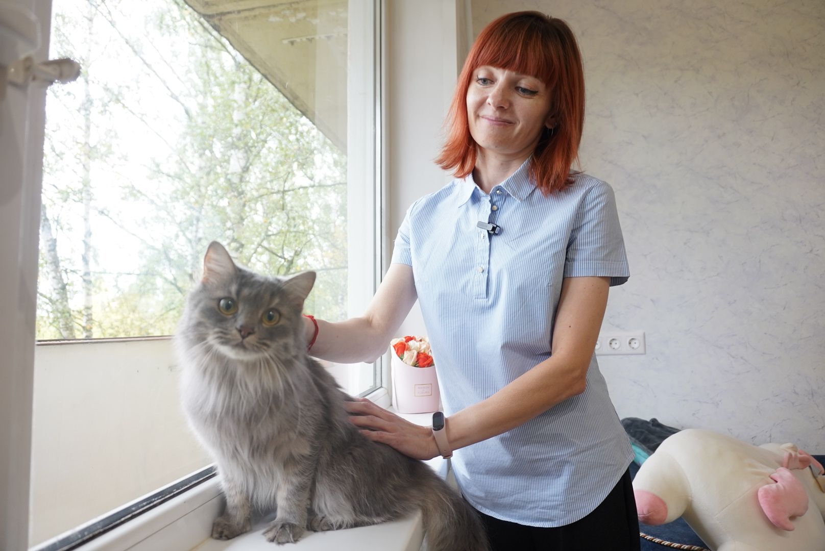 Павловский Посад , Социальная ипотека ,   Жилье ,