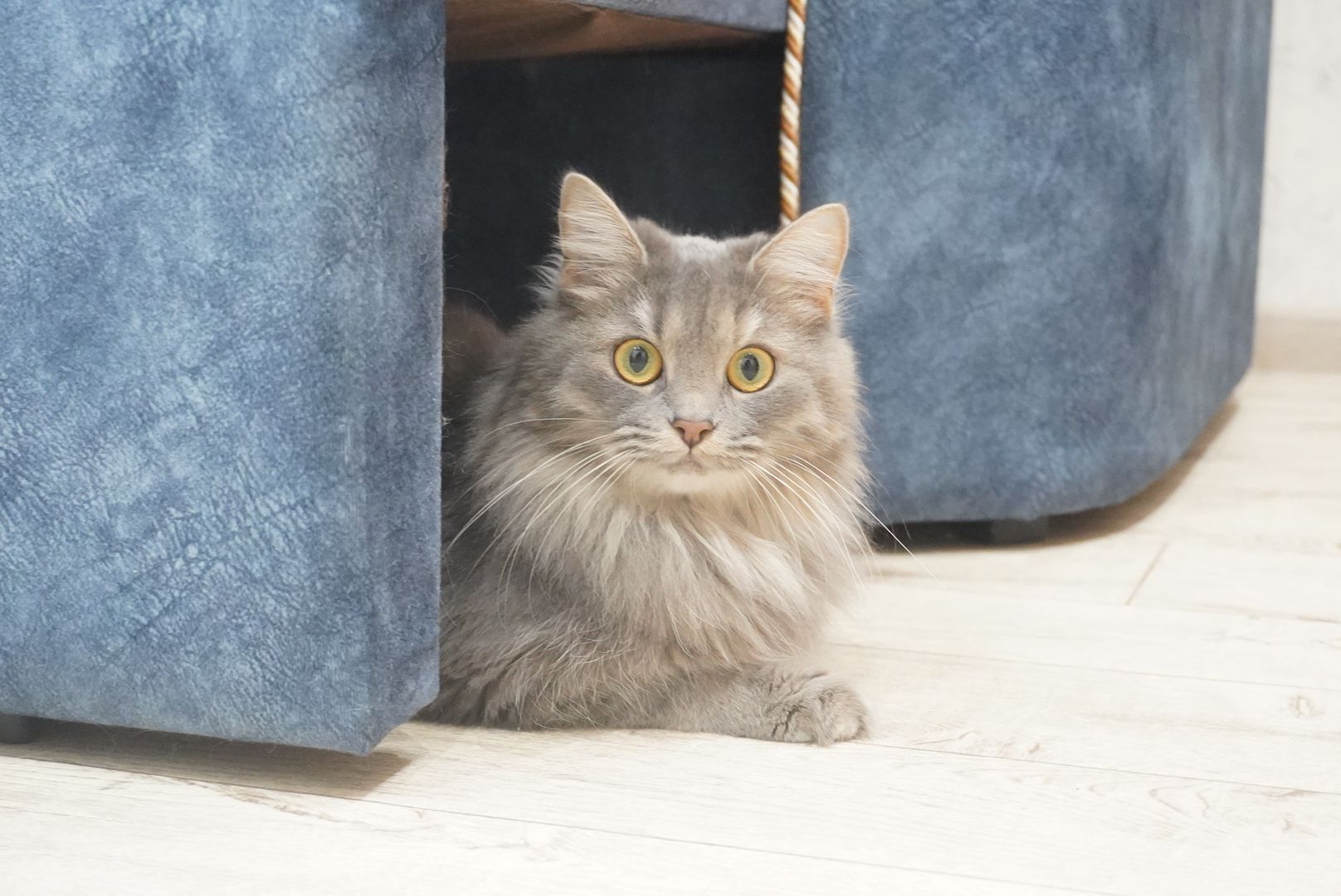 Павловский Посад , Социальная ипотека ,   Жилье ,