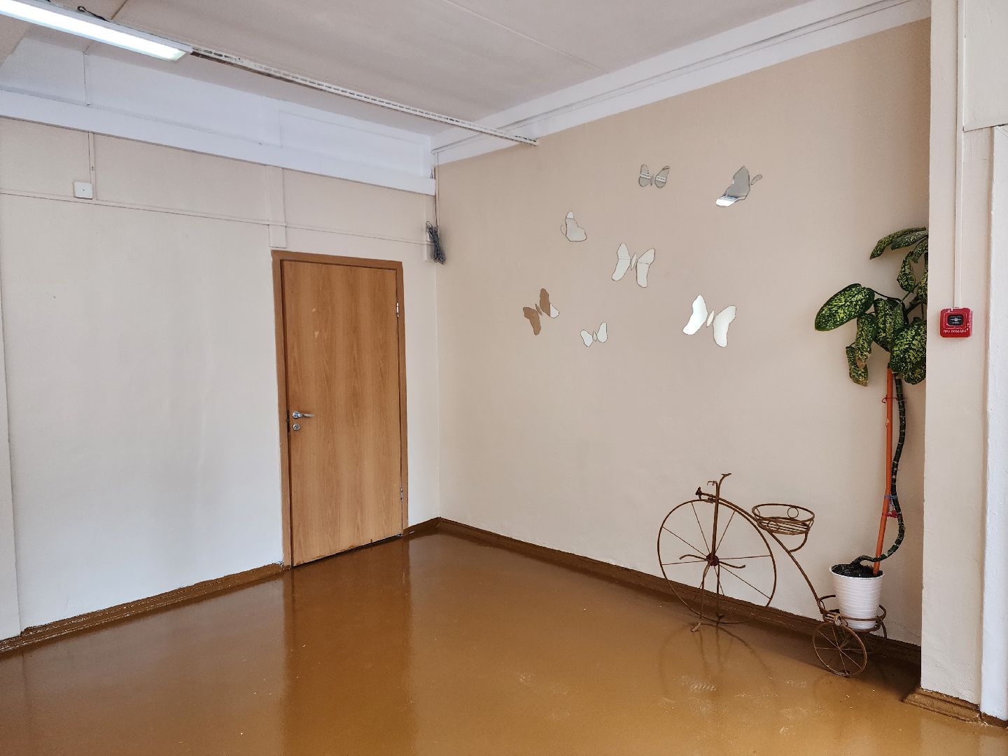 раменское, образование, подготовка к новому учебному году , раменская средняя школа 1,