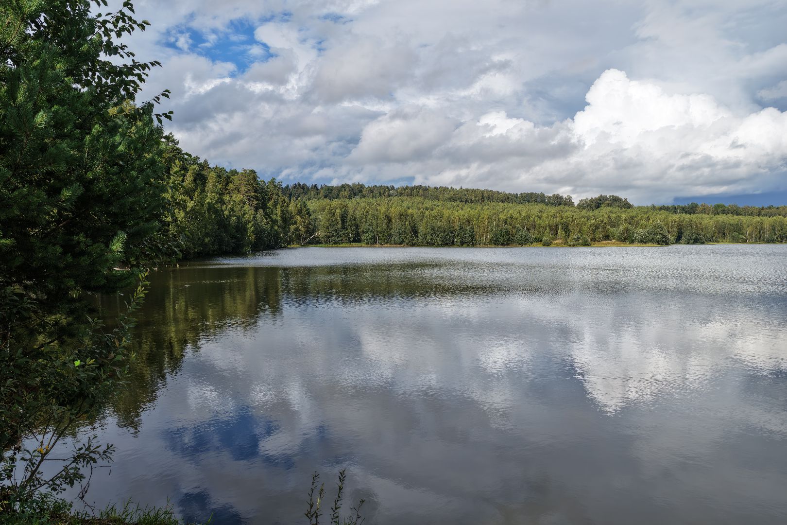 видео с коптера, очистка Ваулинской плотины, экология подмосковья,