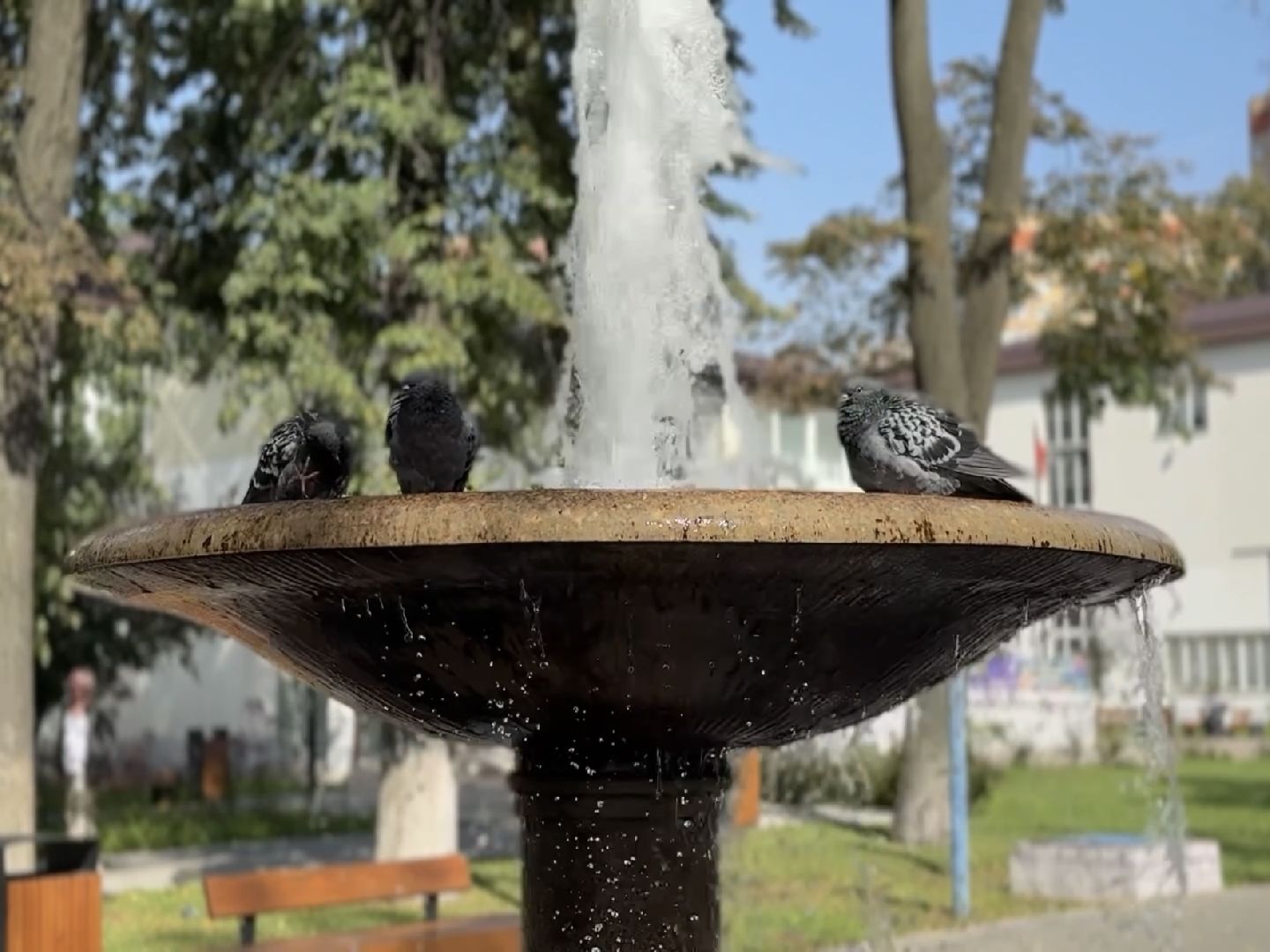 Раменское, Дворец культуры , день открытых дверей,