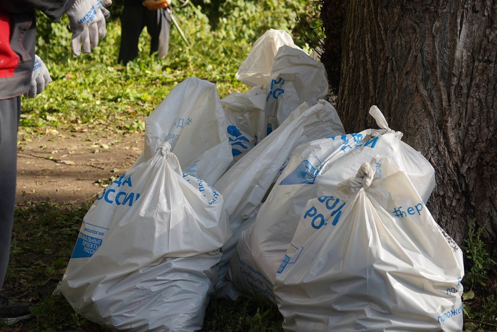 павловский посад, уборка, акция,