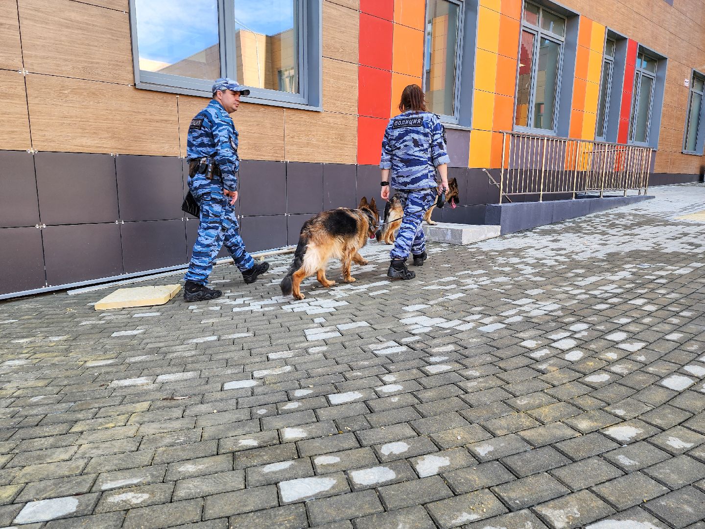 Подольск, кинологи, 1 сентября 2025, День знаний, Полиция,Безопасность,