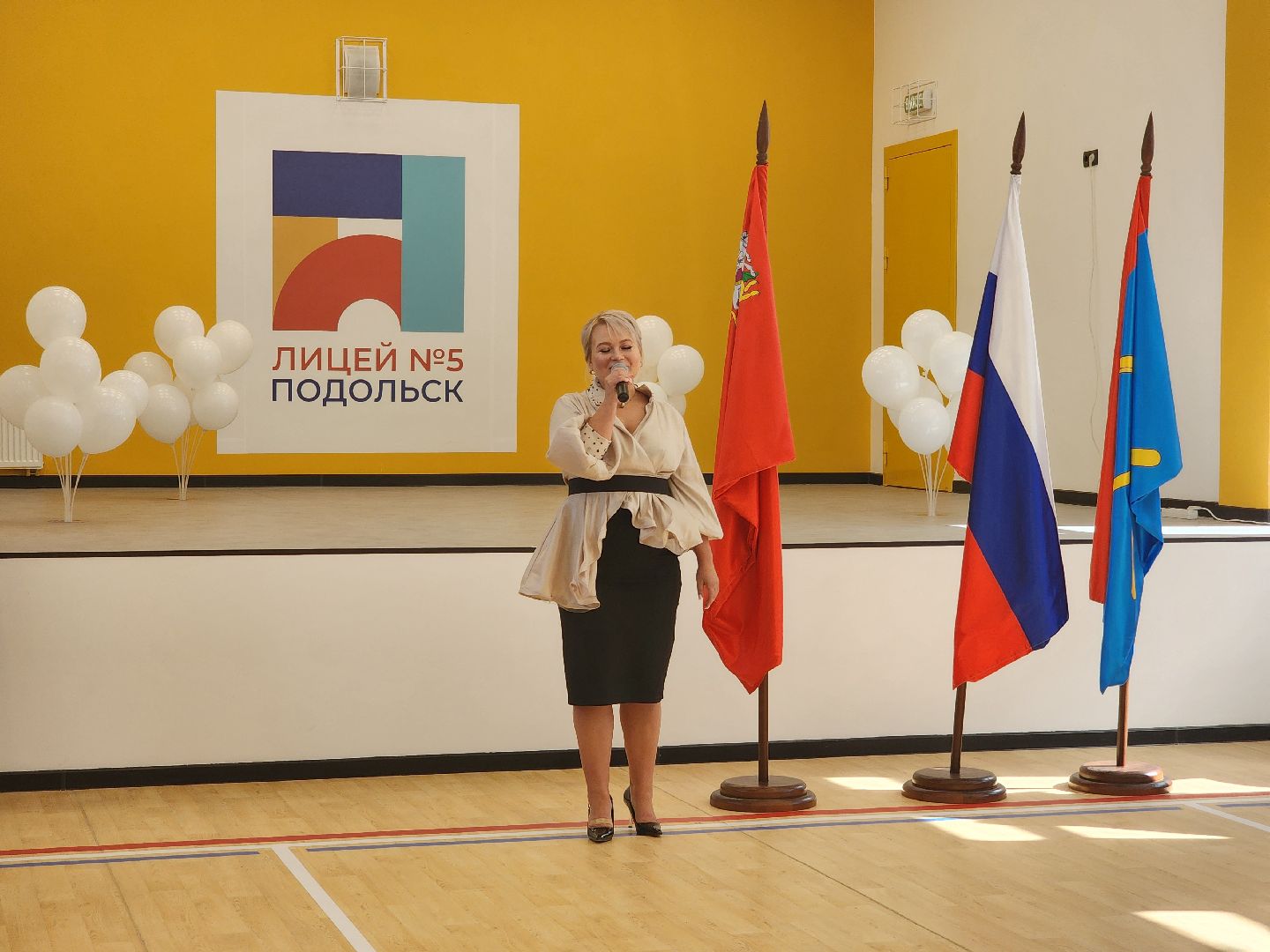 Подольск , лицей 5, капремонт,