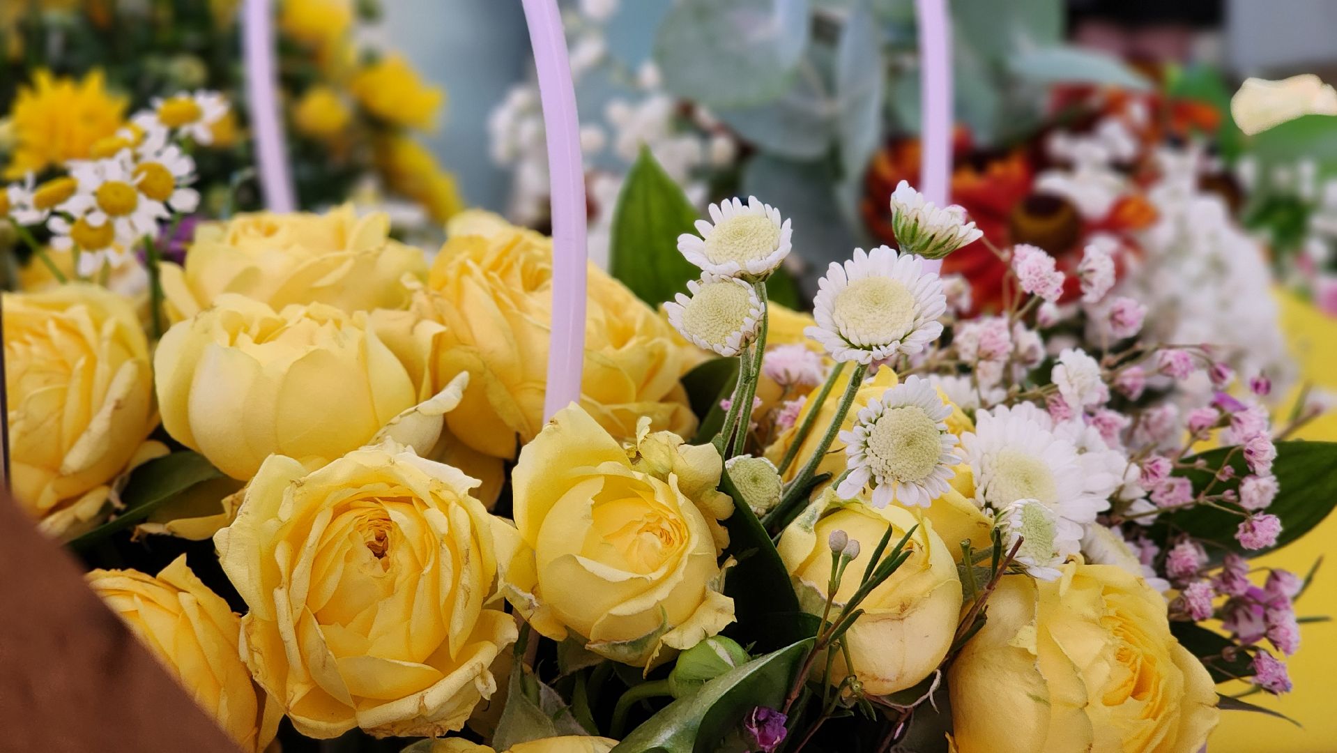 руза, нестеровский лицей, математический класс подмосковья,образование,