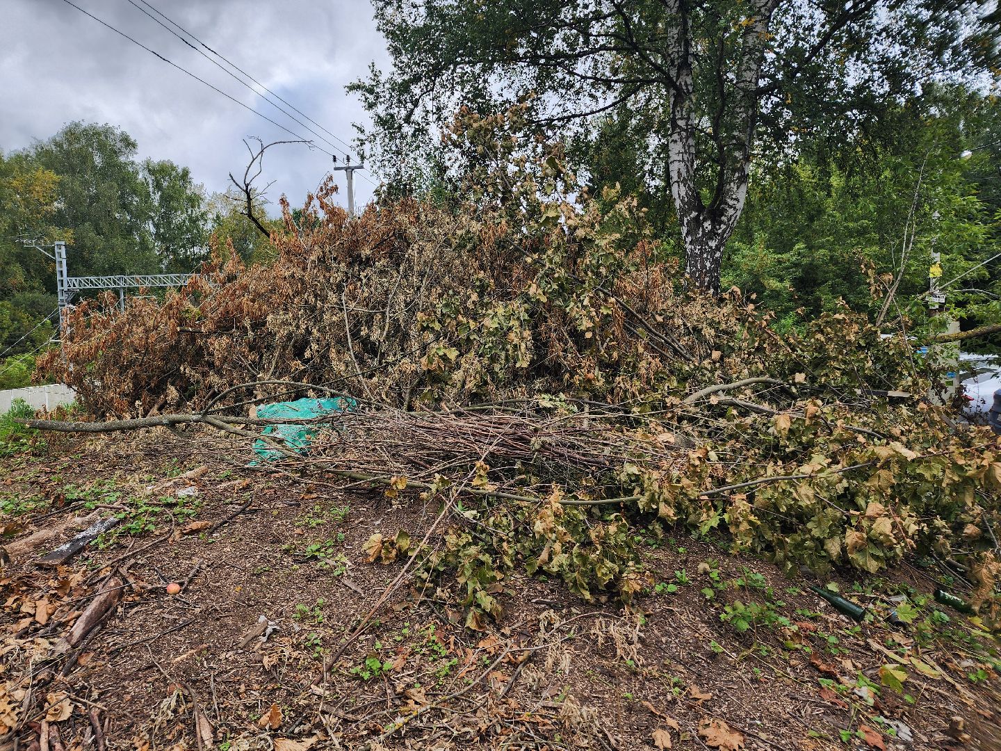 транспорт, одинцово, ржд, электрички, железная дорога, реконструкция,