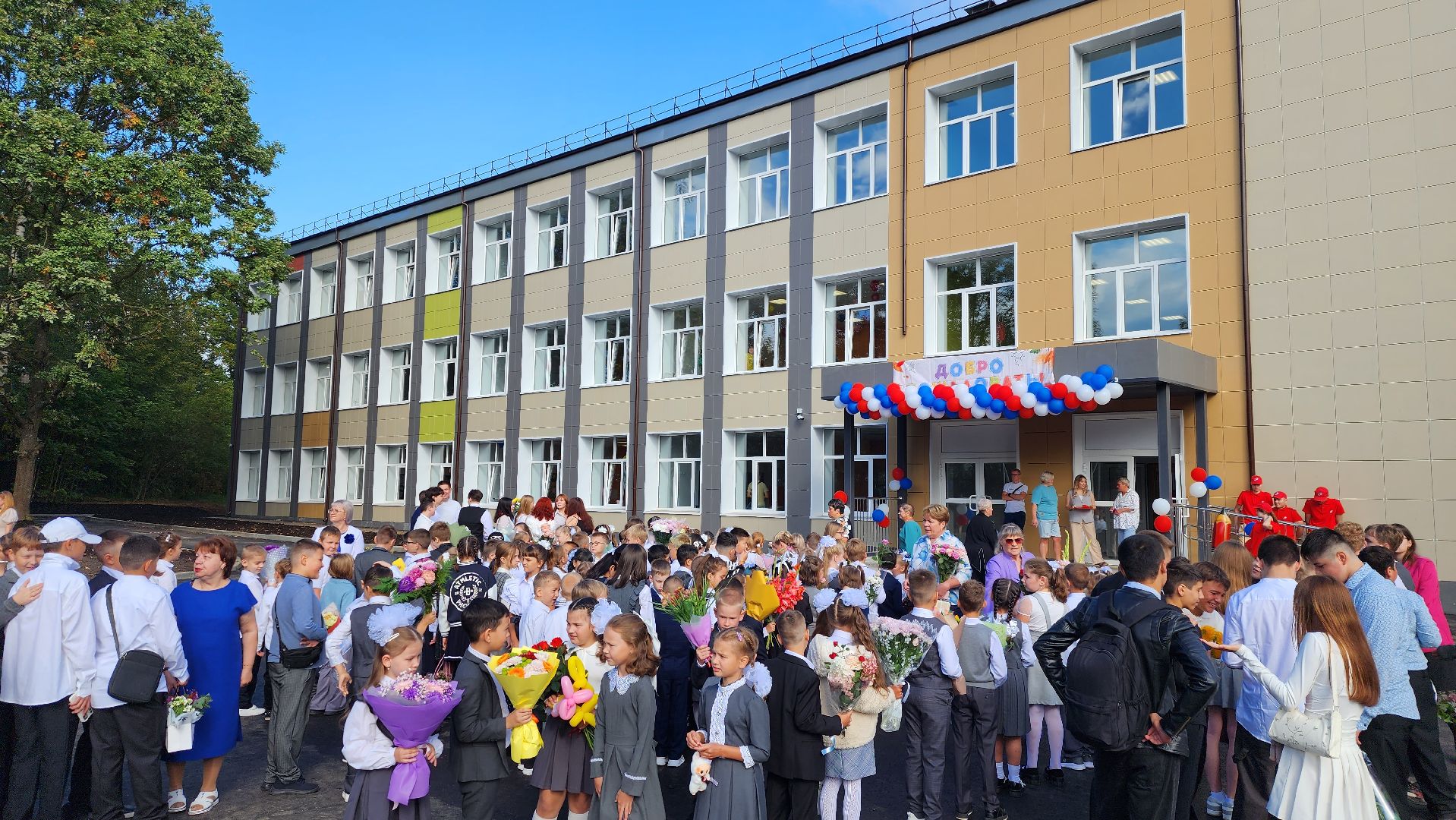 истра, 1 сентября, образование, школа,