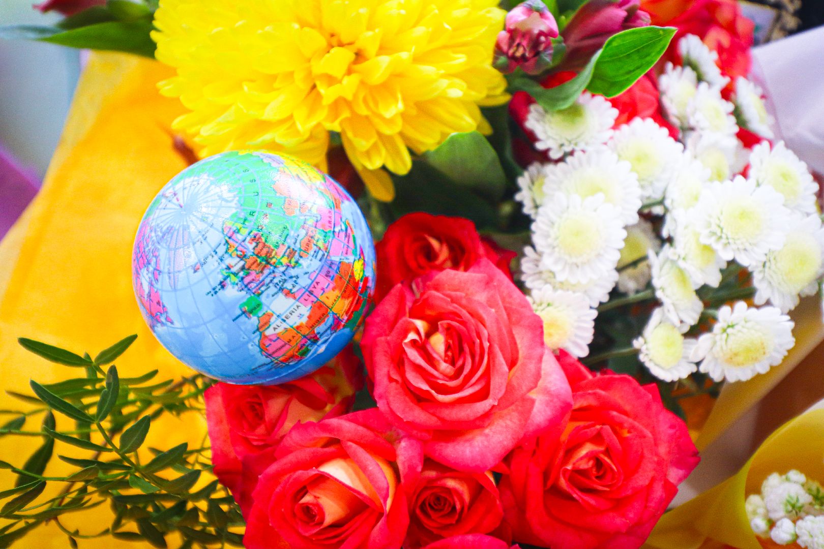 клин, общество, день знаний, дети, образование,