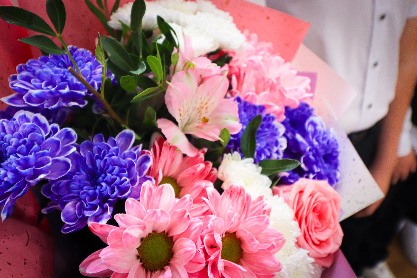 клин, общество, день знаний, дети, образование,