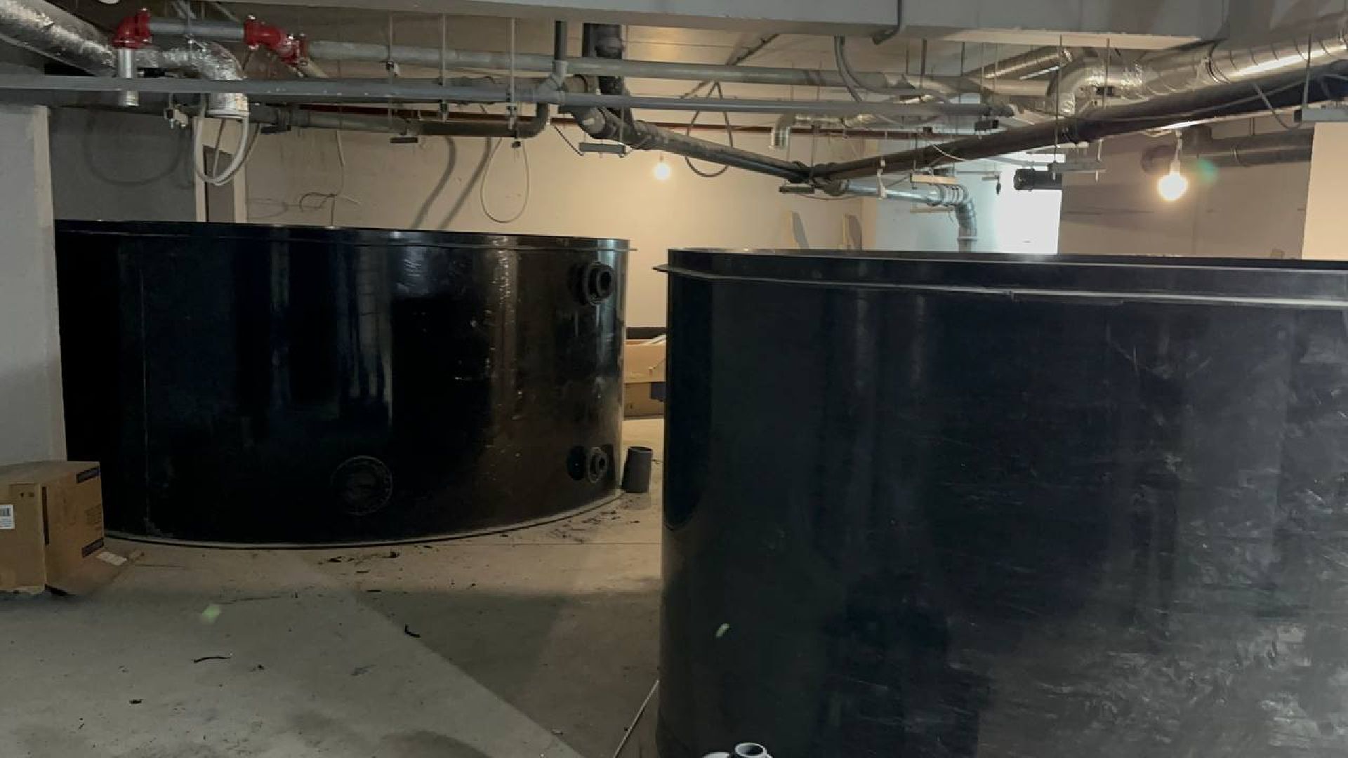 спорт, бассейн, домодедово,