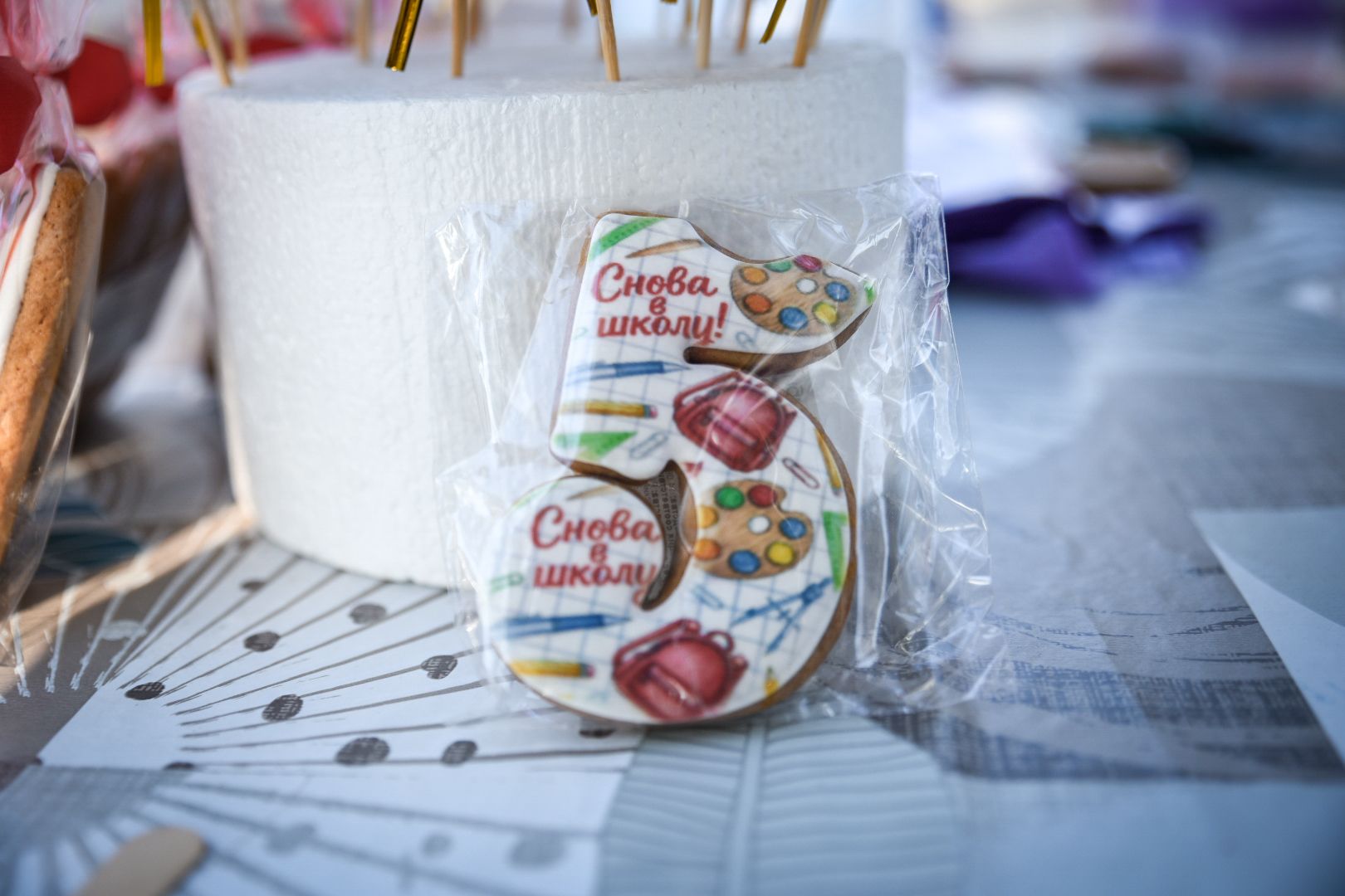 бронницы, парк бронницкий луг, день знаний в парке , дети, шашки в бронницах,