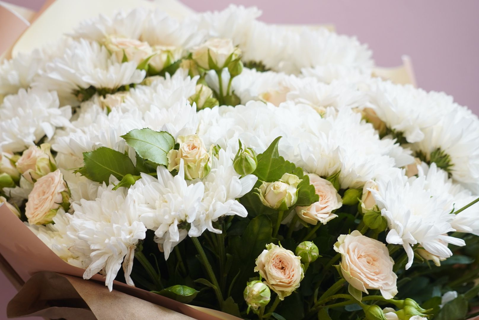 Электрогорск , Портрет, Директор ,