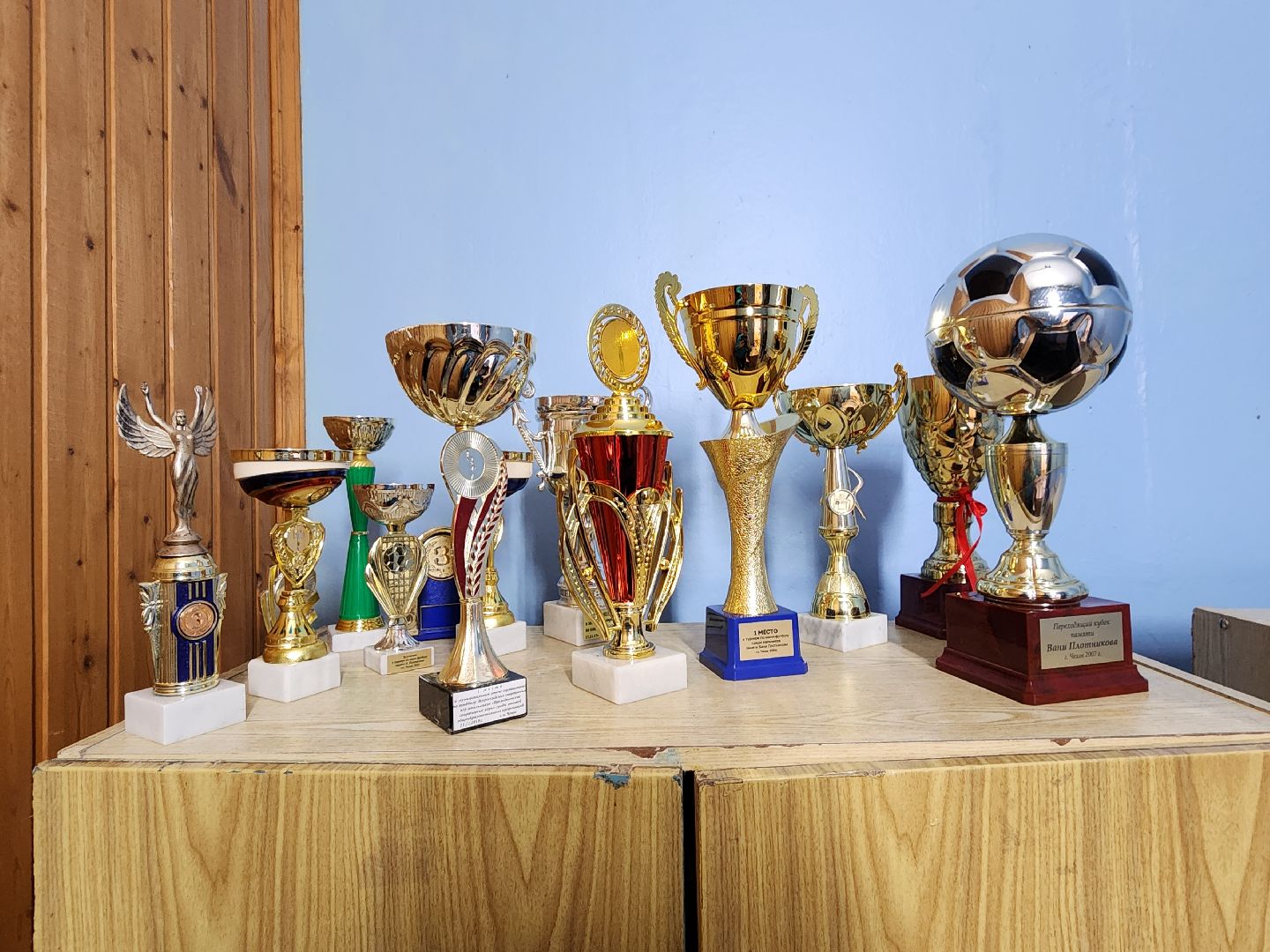 чехов, улица мира 7а, гимназия 7, новый учитель физкультуры , молодой педагог , Кирилл Ротастиков, биография, поддержка молодых учителей , директор гимназии елена рубцова,наставничество,