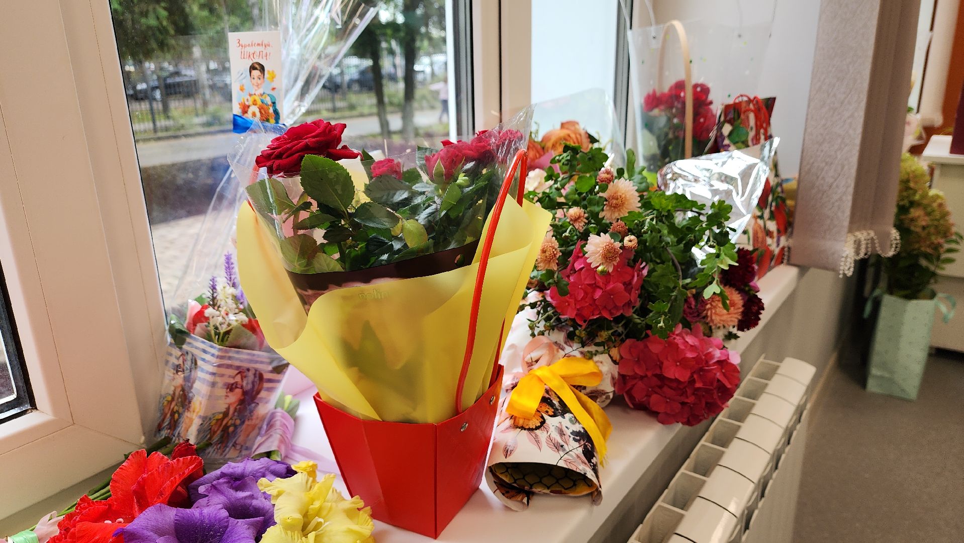 ашукино, ремонт школы, ашукинский образовательный комплекс, дети, день знаний, классный час,новое оборудование,кабинет, интерактивная доска,новая мебель,1 сентября,