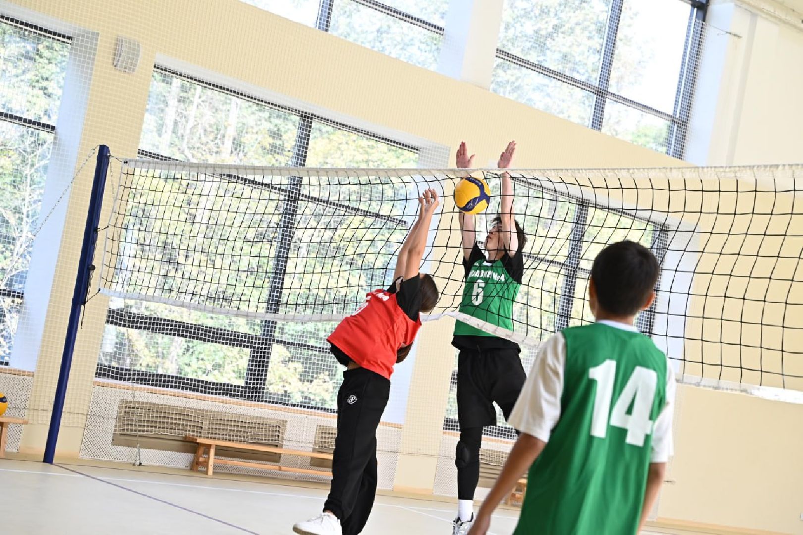 лыткарино, образование, общество, новый корпус 4 гимназии,