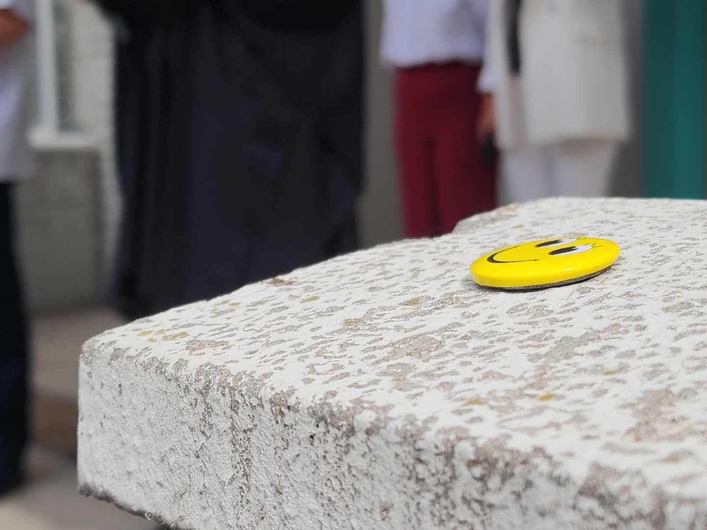 Черноголовка, 1 сентября, Образование,