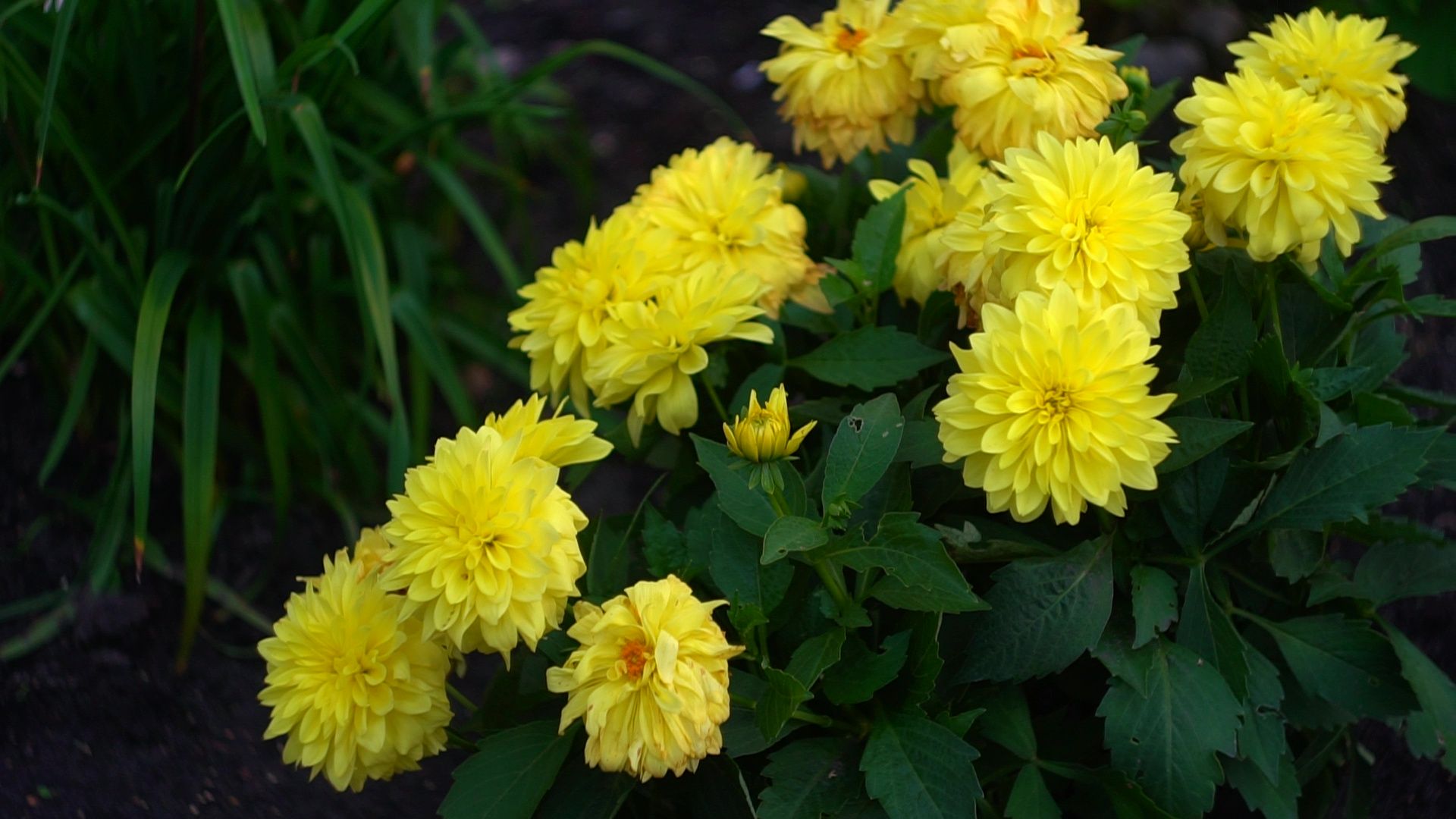 Реутов, благоустройство, конкурс главы, мой комфортный дом,