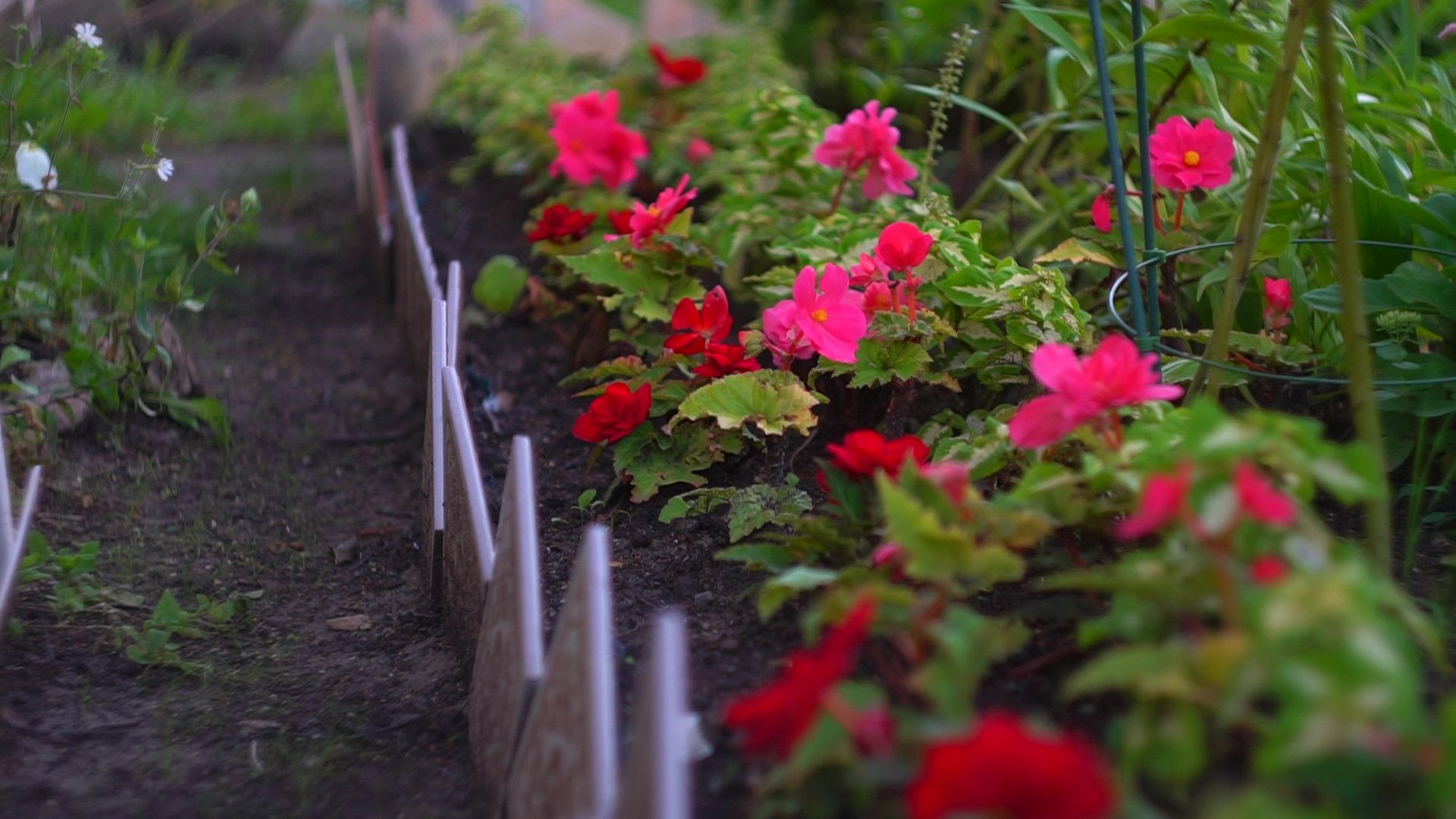 Реутов, благоустройство, конкурс главы, мой комфортный дом,