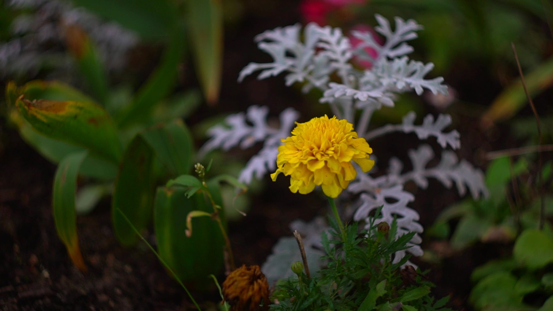 Реутов, благоустройство, конкурс главы, мой комфортный дом,