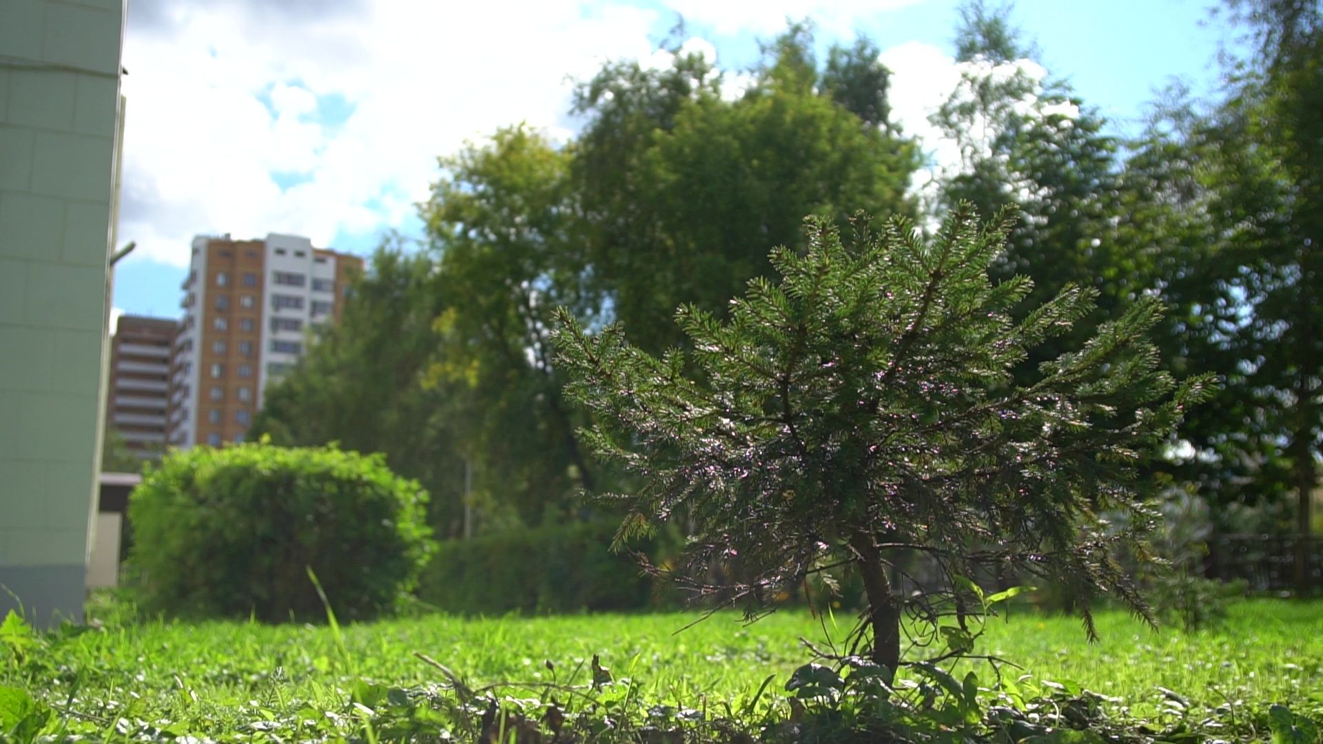 Реутов, благоустройство, конкурс главы, мой комфортный дом,