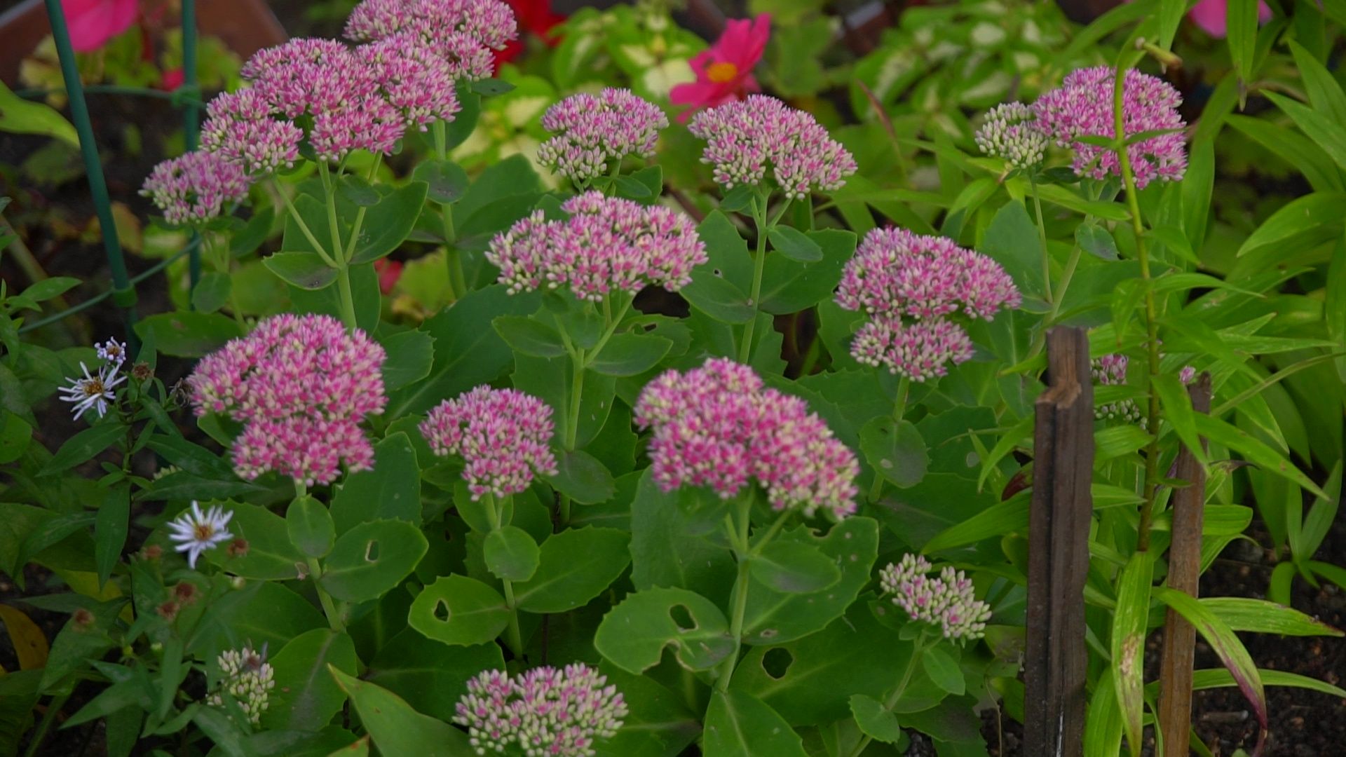 Реутов, благоустройство, конкурс главы, мой комфортный дом,