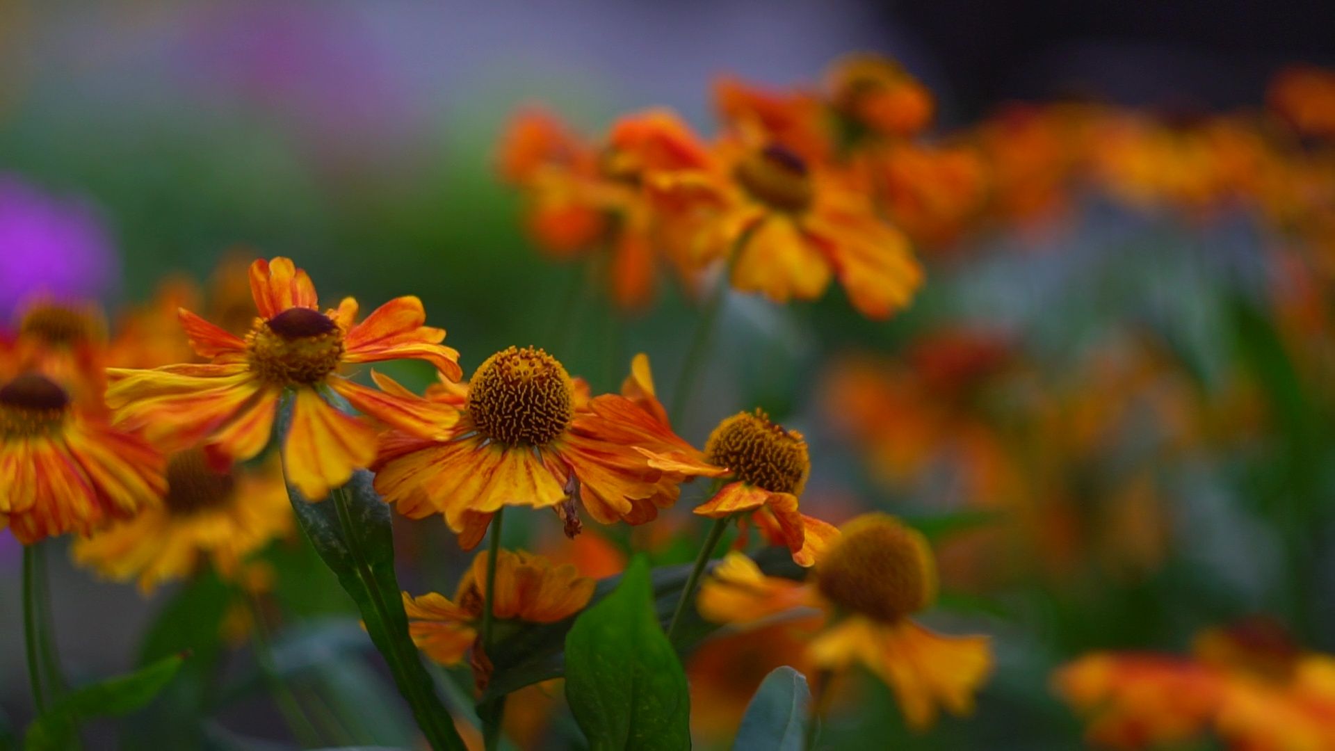 Реутов, благоустройство, конкурс главы, мой комфортный дом,