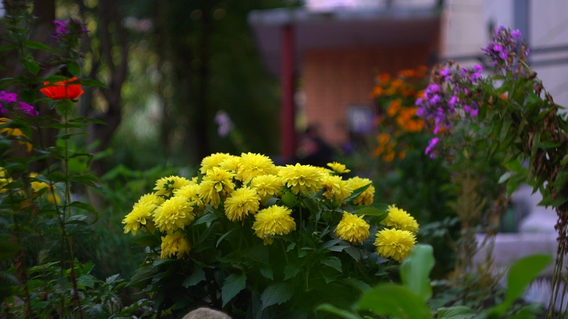 Реутов, благоустройство, конкурс главы, мой комфортный дом,