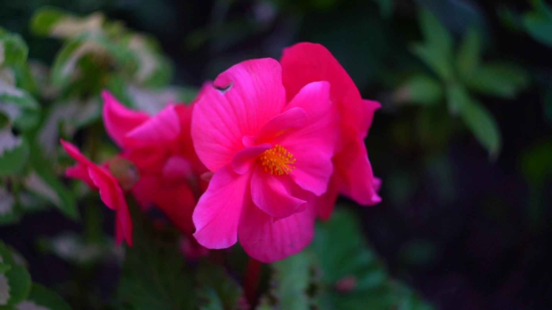 Реутов, благоустройство, конкурс главы, мой комфортный дом,